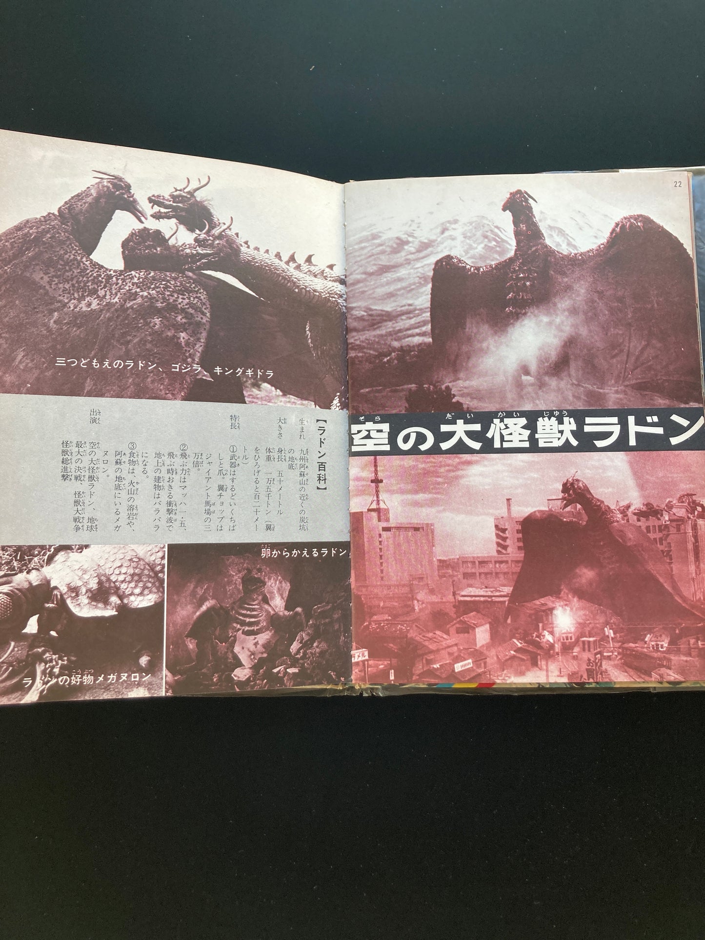 The Great Monster Battle