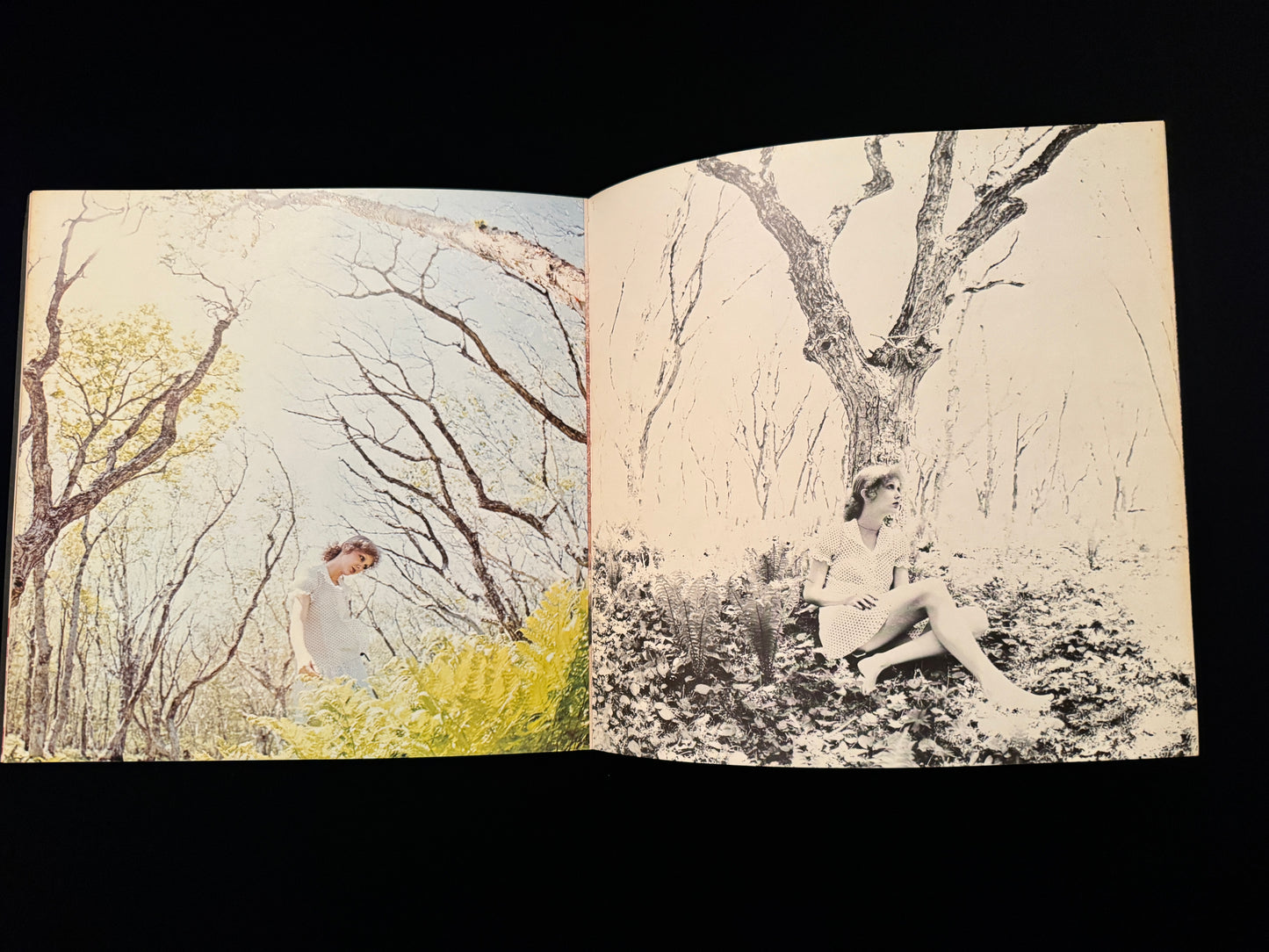 PHOTO POEM