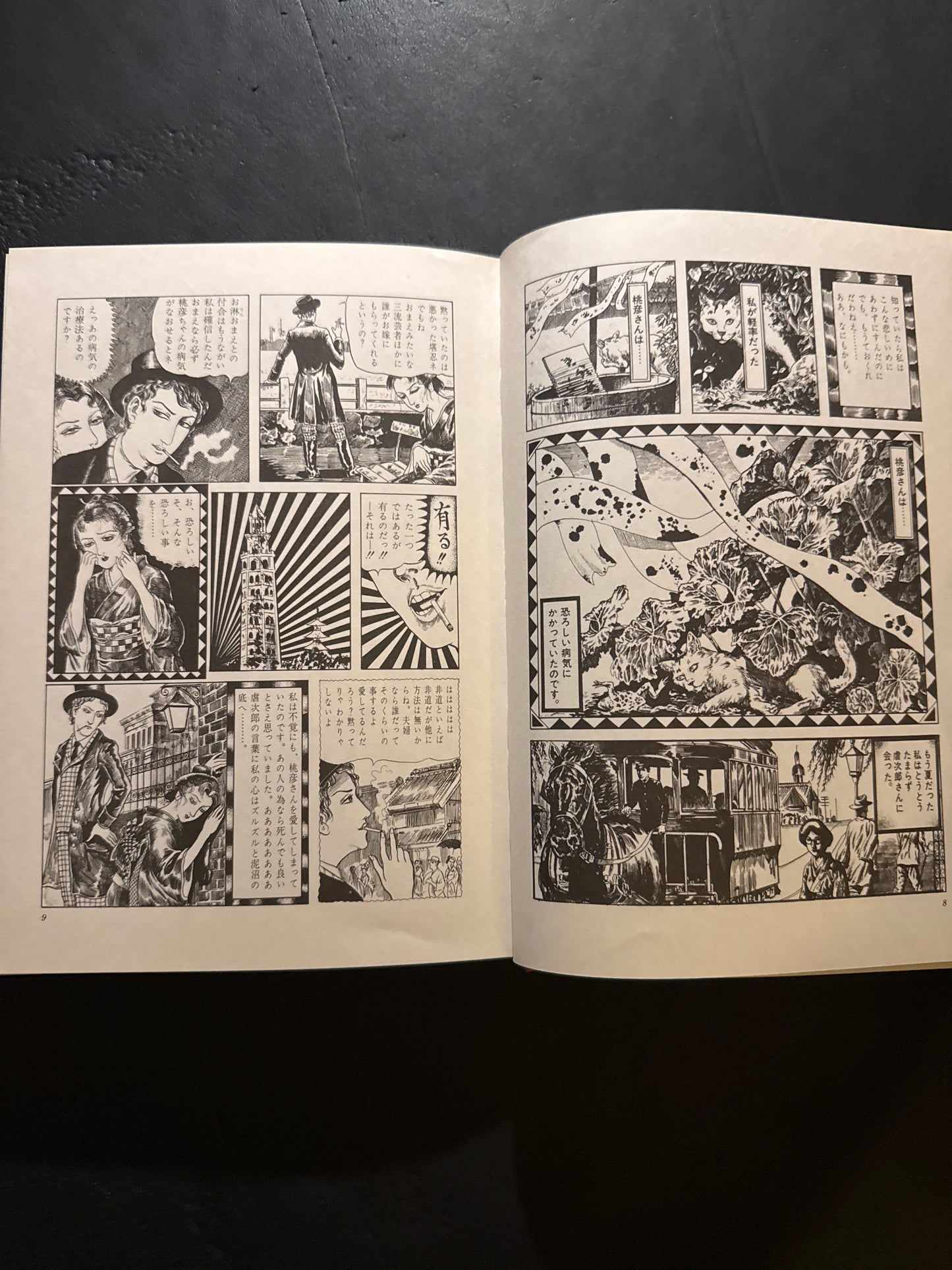 Kazuichi Hanawa Works : Limited 800 copies