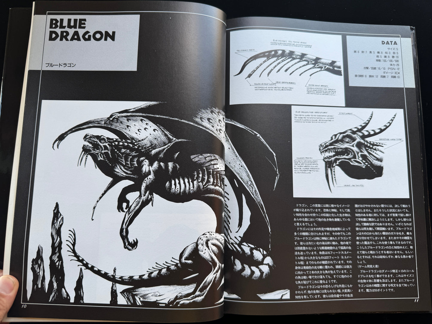 FANTASTIC CREATURE WORLD