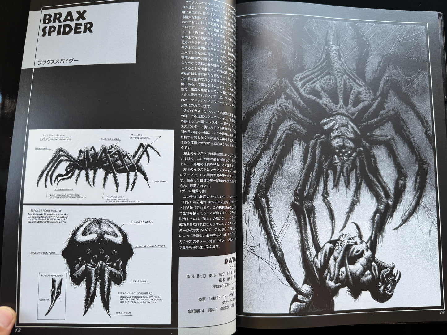 FANTASTIC CREATURE WORLD