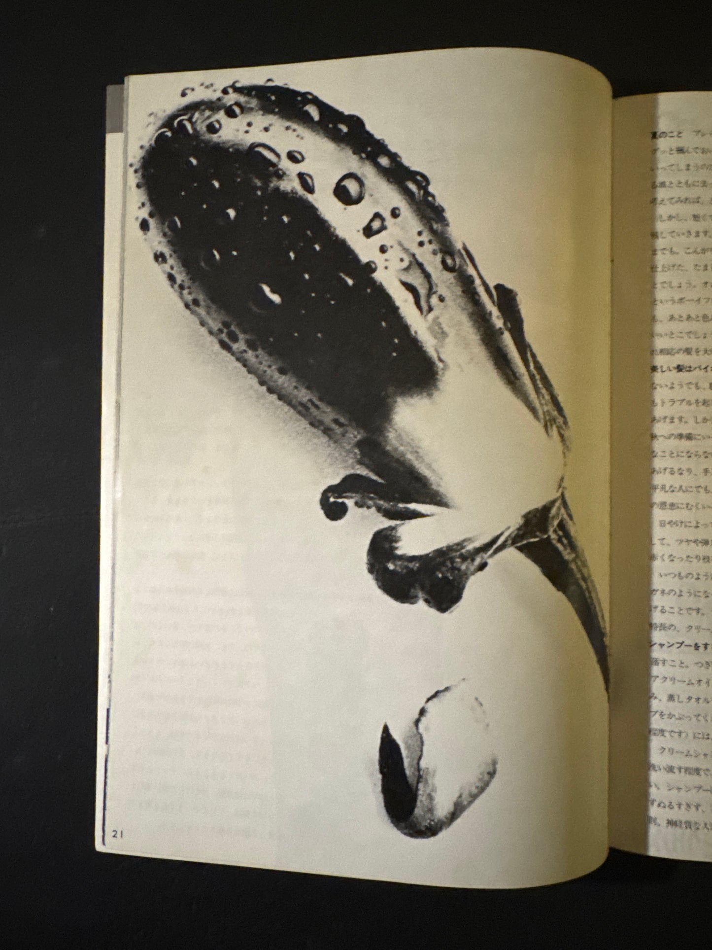 HANATSUBAKI 1969 complete set