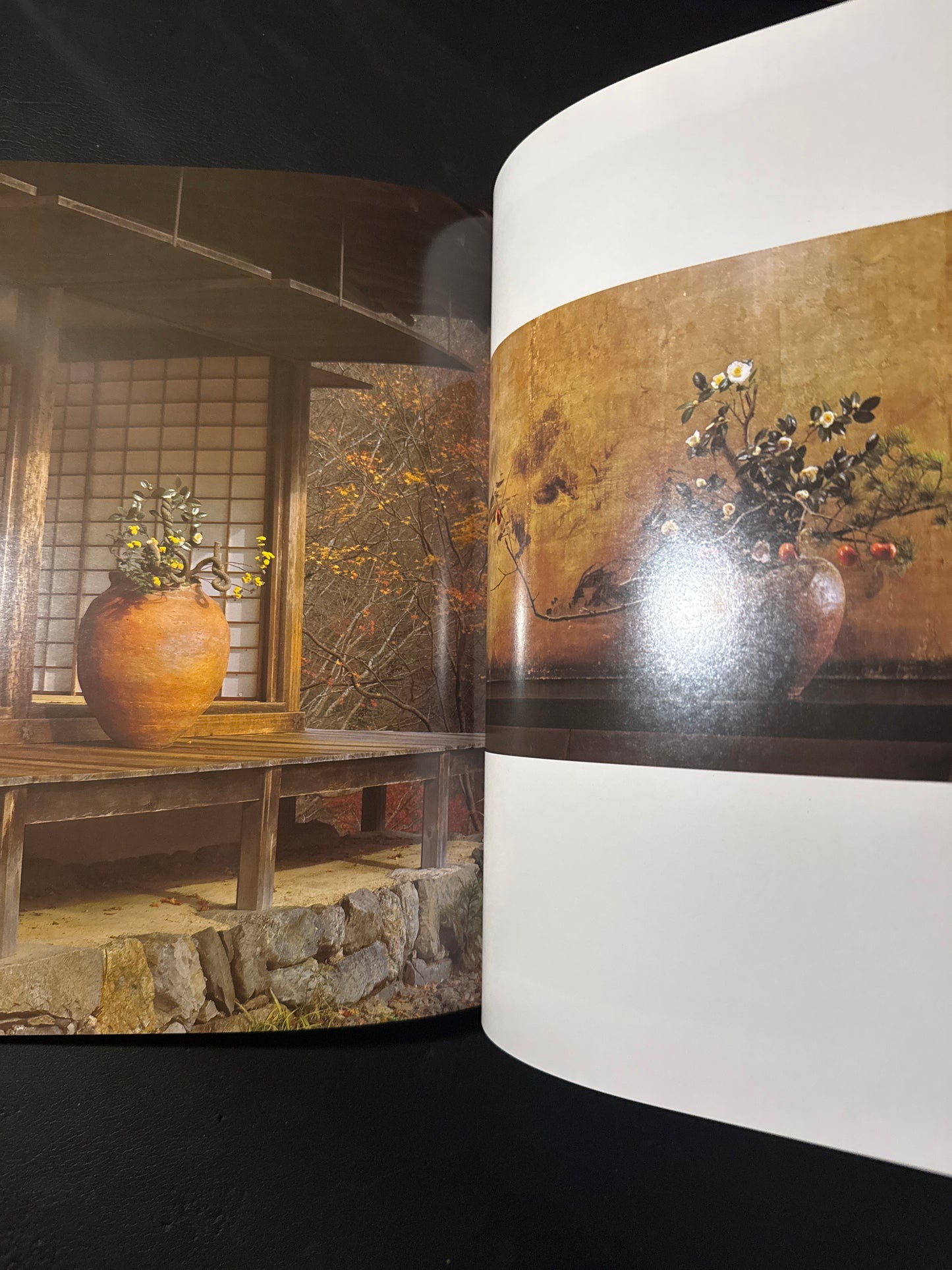 Sofu Teshigawara Ikebana 5 vol. complete set