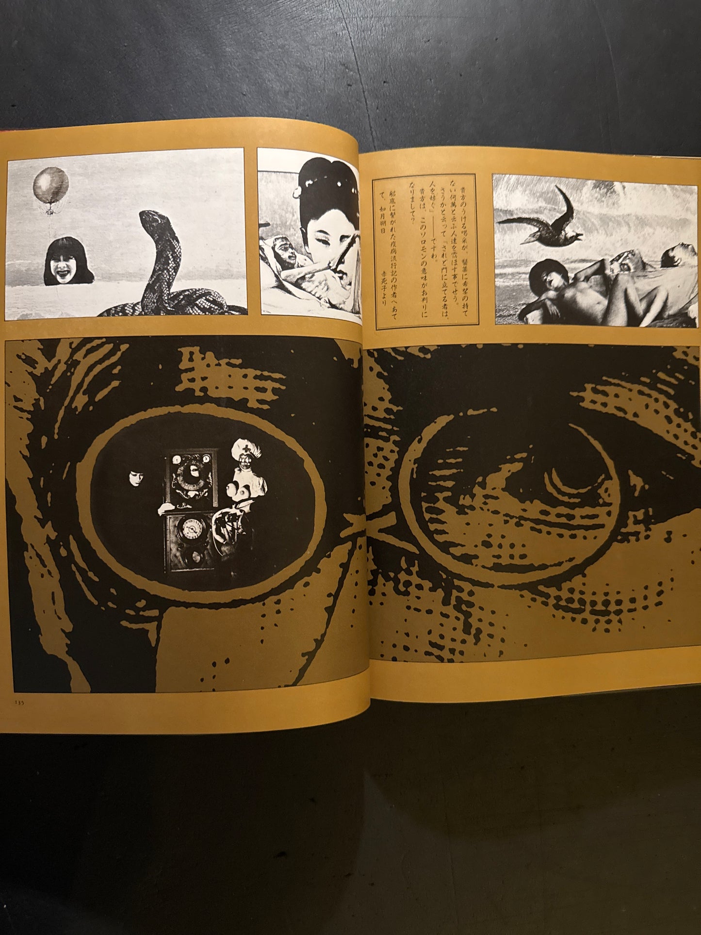 photo theque imaginaire de Shuji Terayama Les gems de la famille Chien Dieu