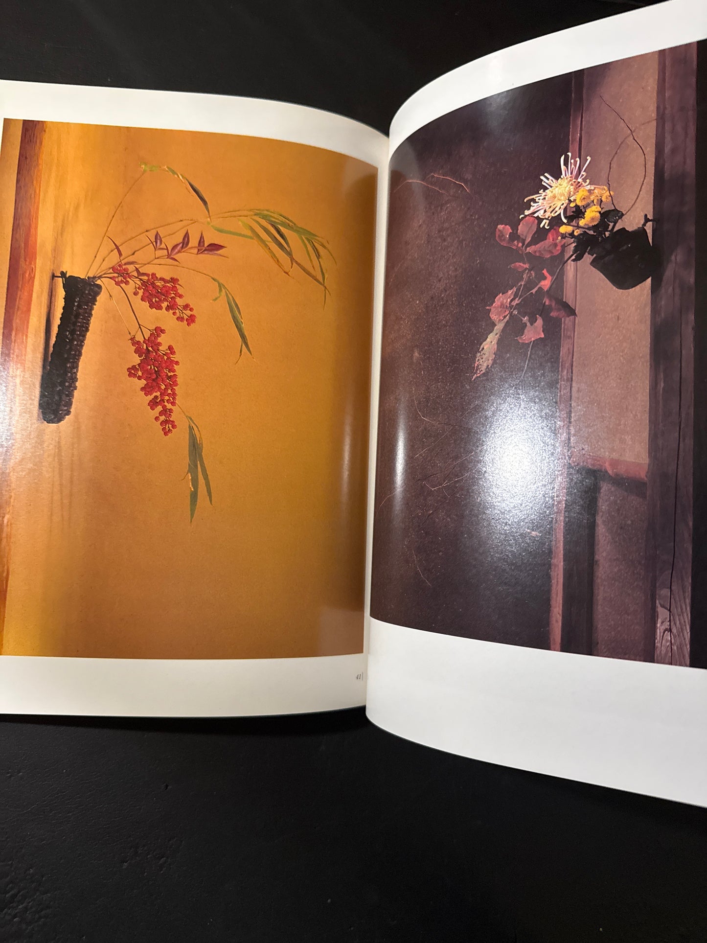 Sofu Teshigawara Ikebana 5 vol. complete set