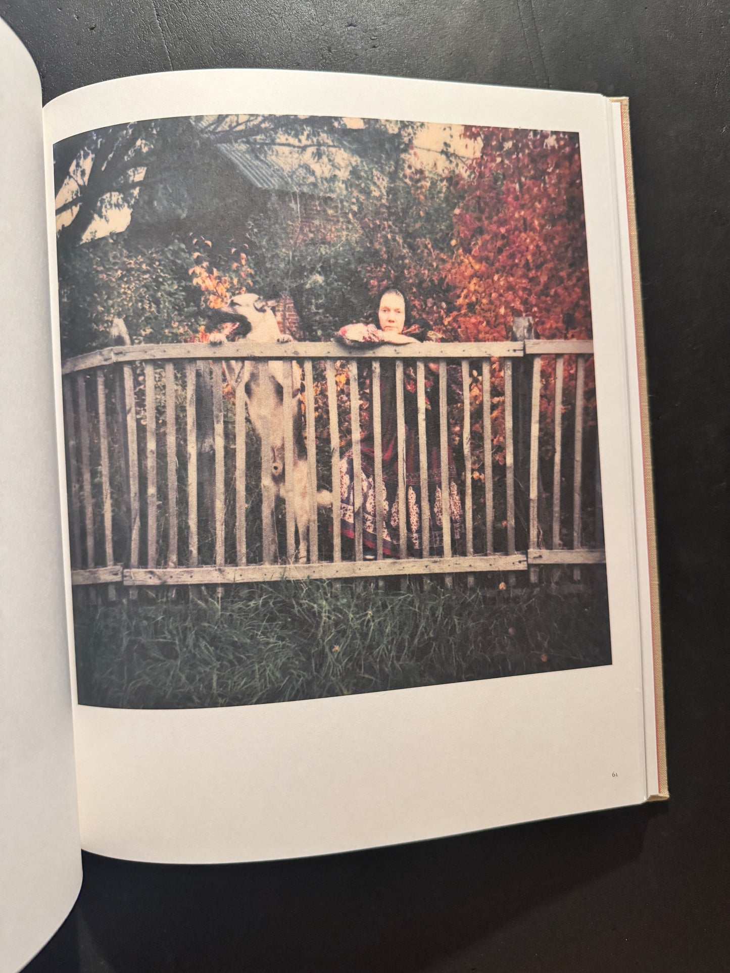 Bright, Bright Day (Russian edition)