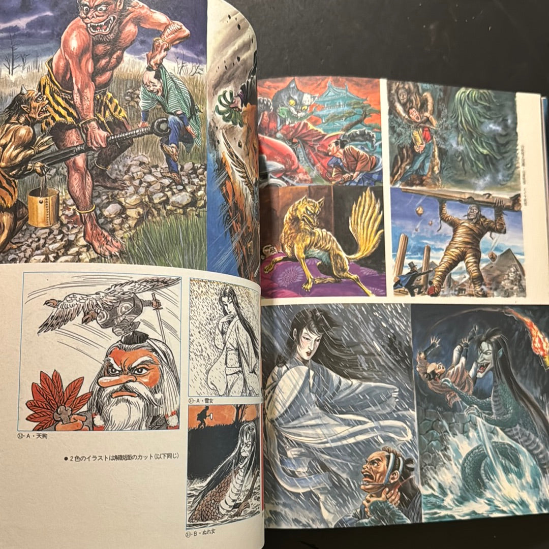 Century of Roar - Takashi Minamimura artbook -