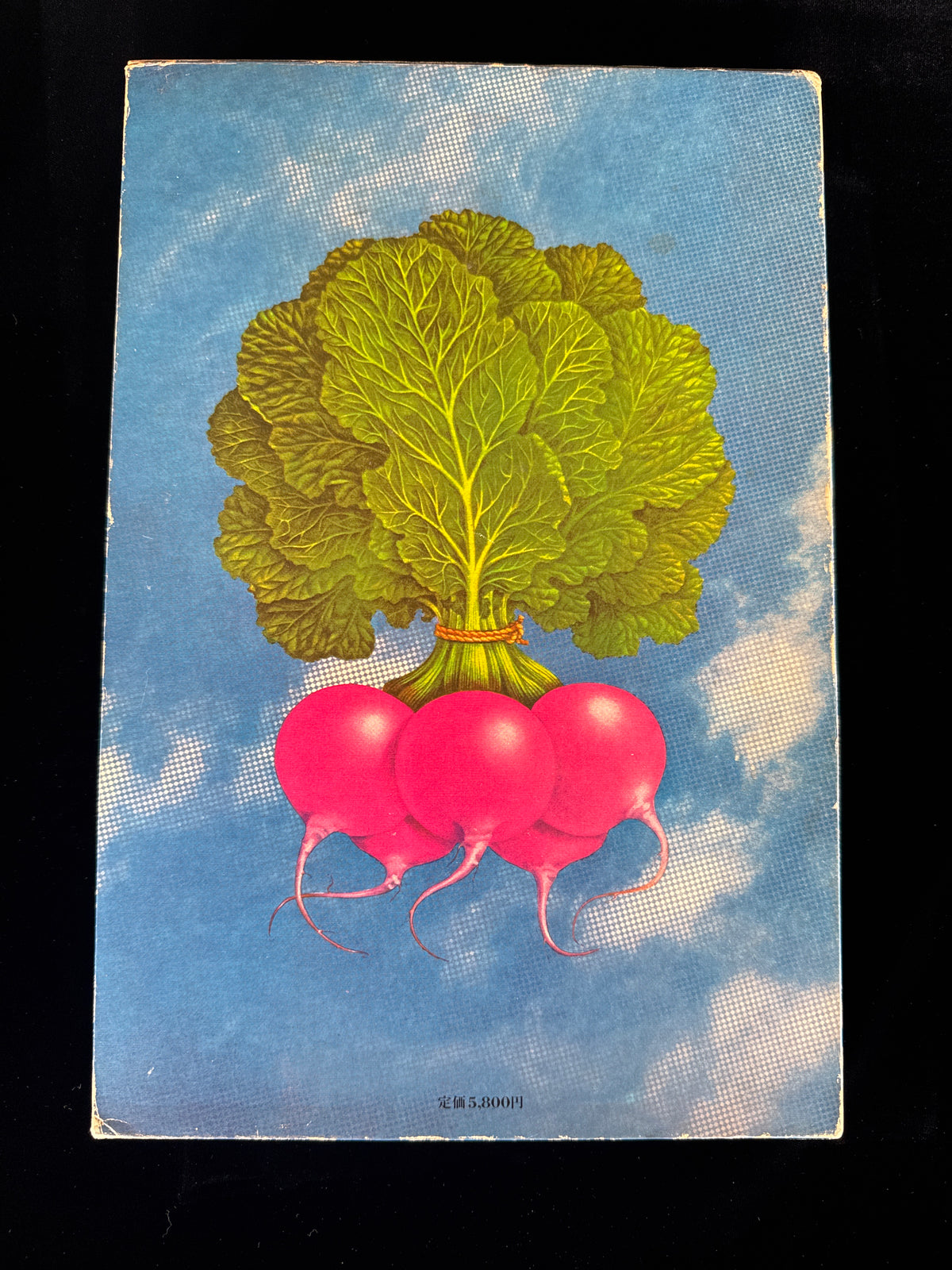 Tadashi Ohashi's Natural History