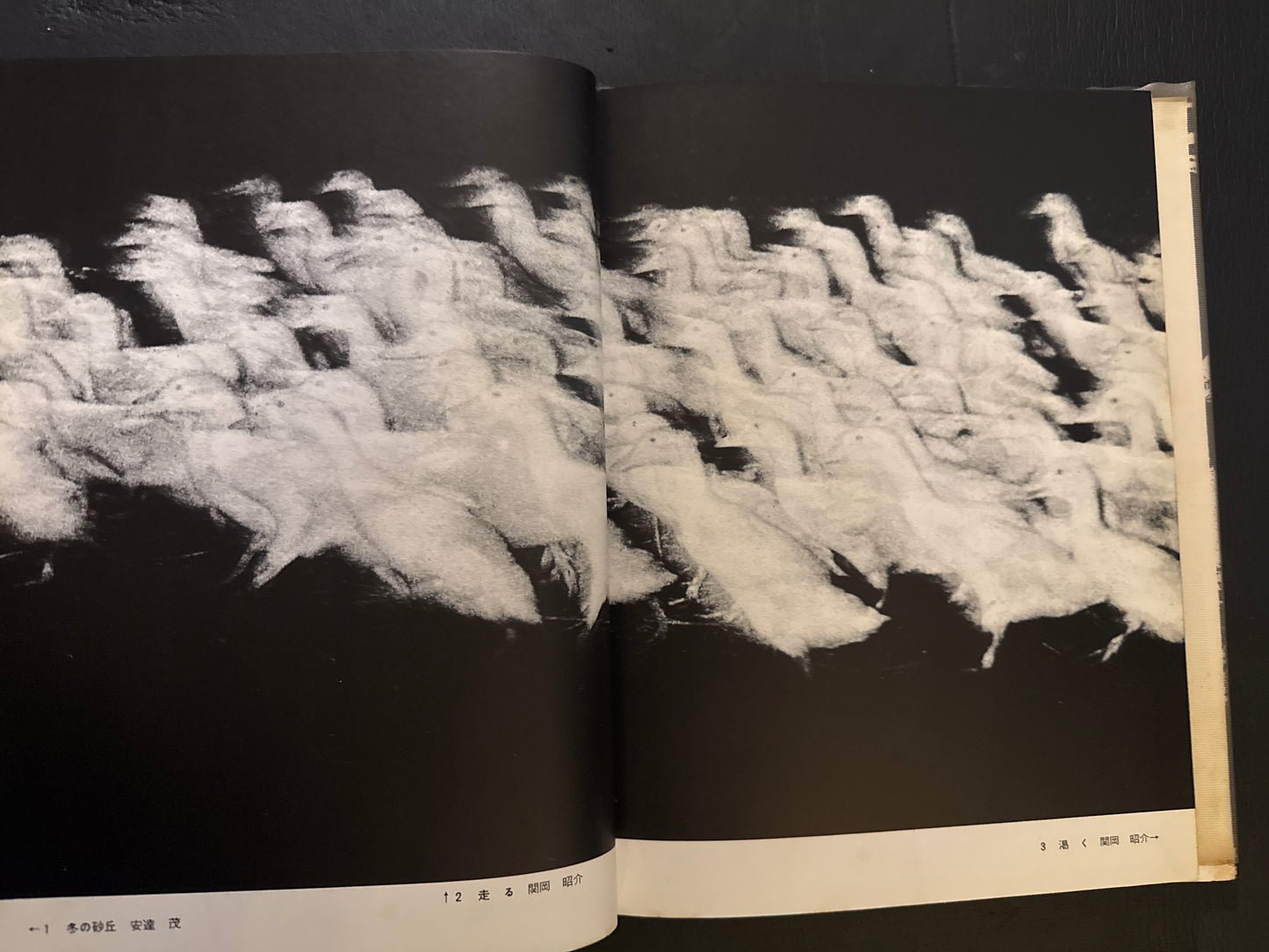 Selected Works of NANIWA SHASHIN CLUB 60th anniversary 1966