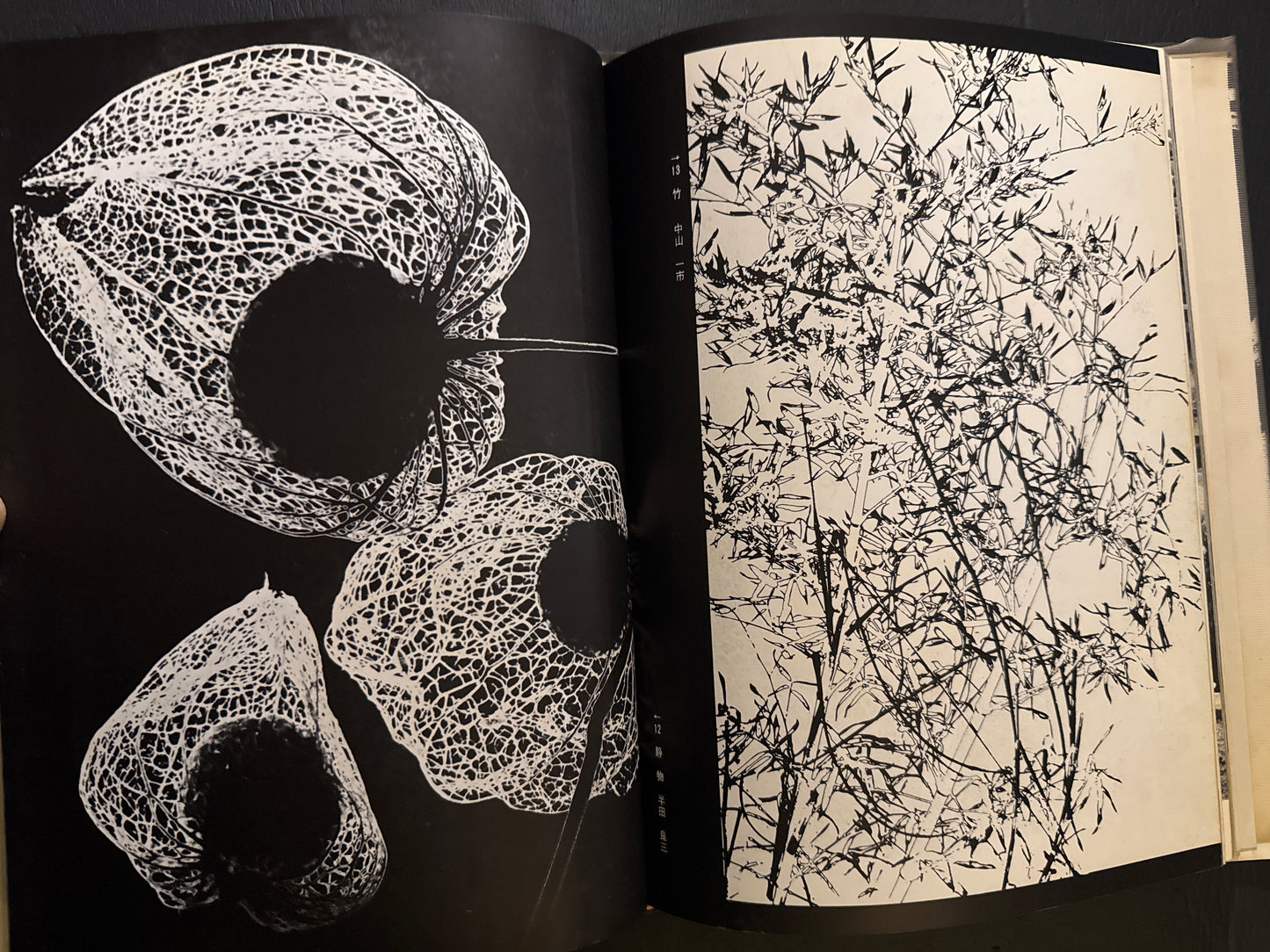 Selected Works of NANIWA SHASHIN CLUB 60th anniversary 1966