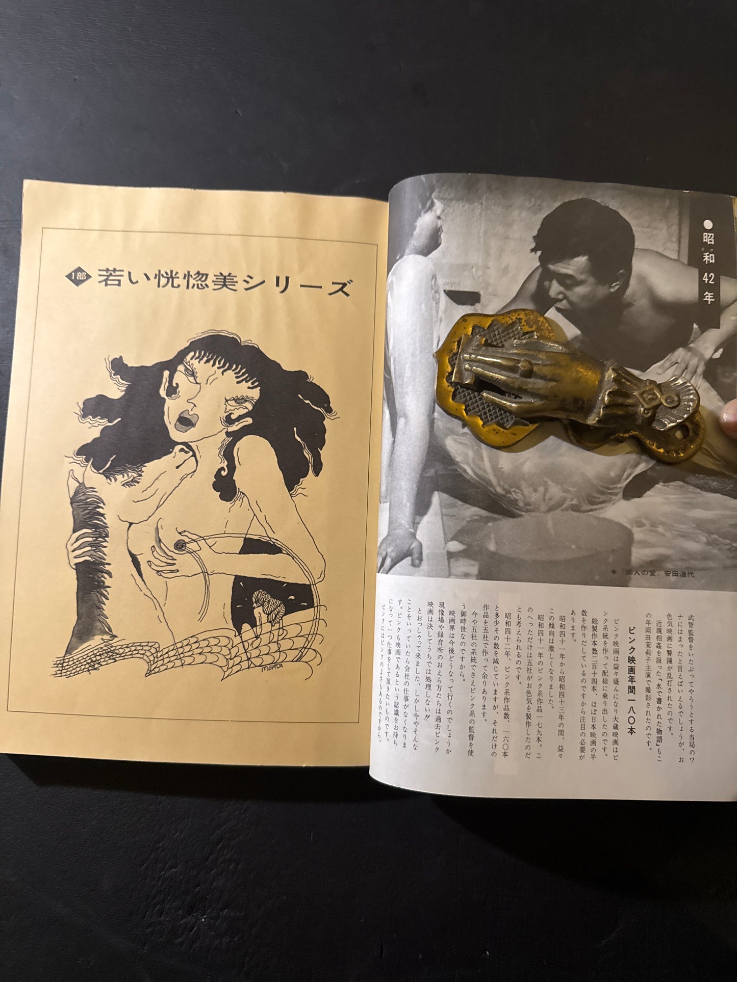 Colection Of Pinky Cinemas