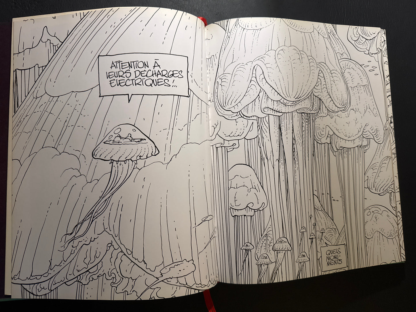 MOEBIUS TRANSE FORME