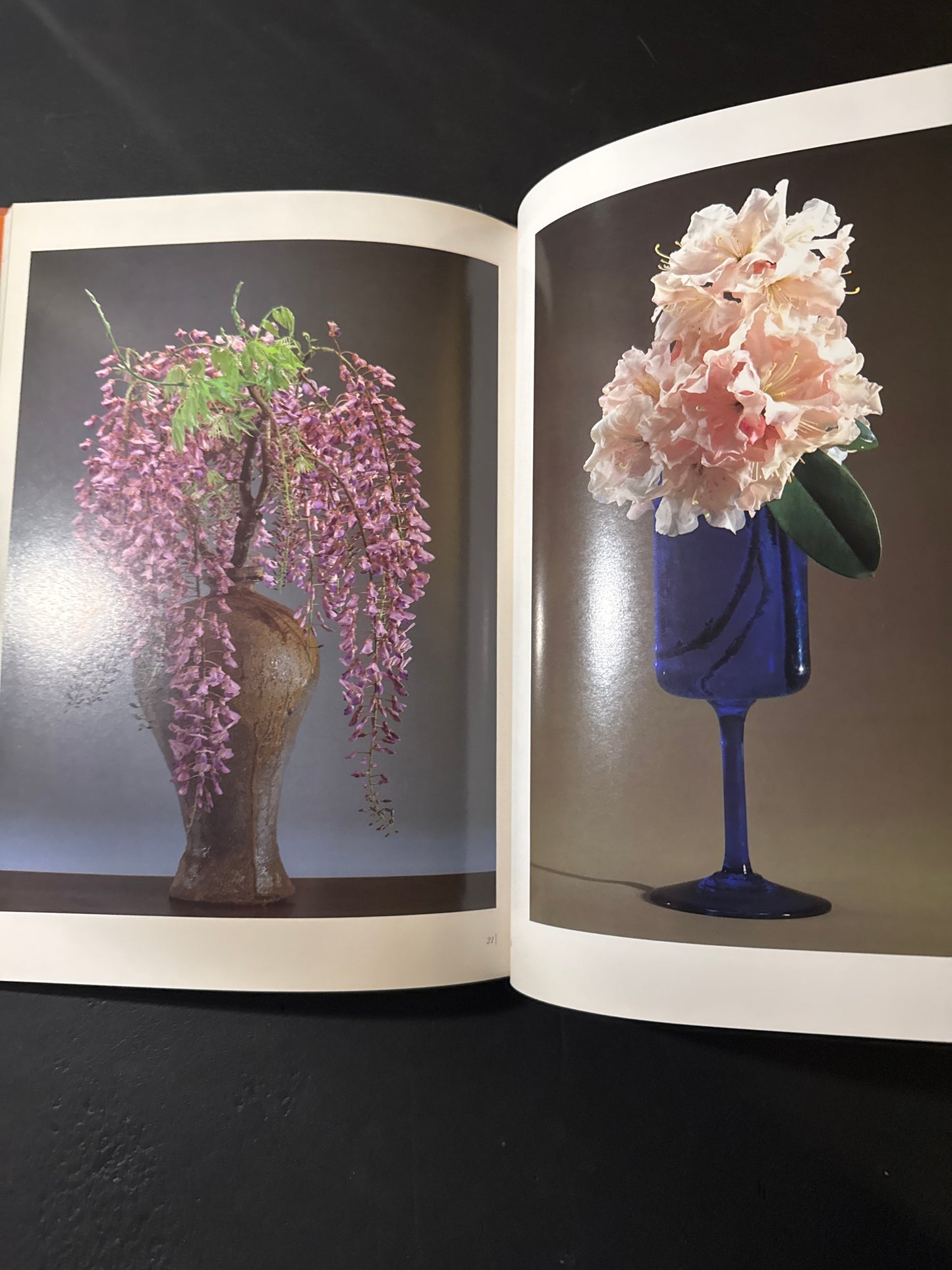 Sofu Teshigawara Ikebana 5 vol. complete set