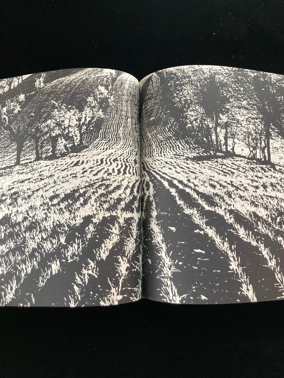 photography of the world '67