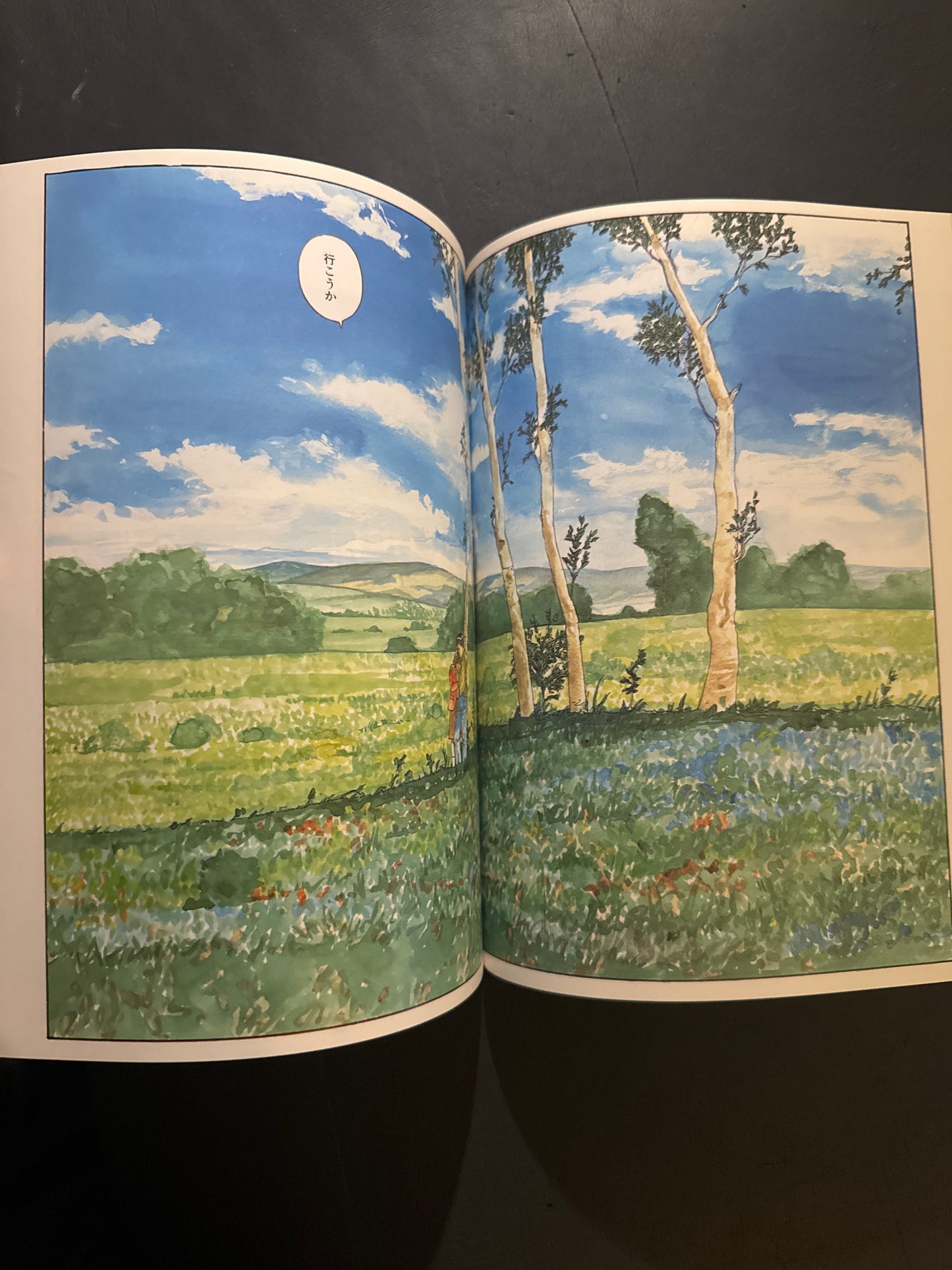 SOS Dai Tokyo Tankentai