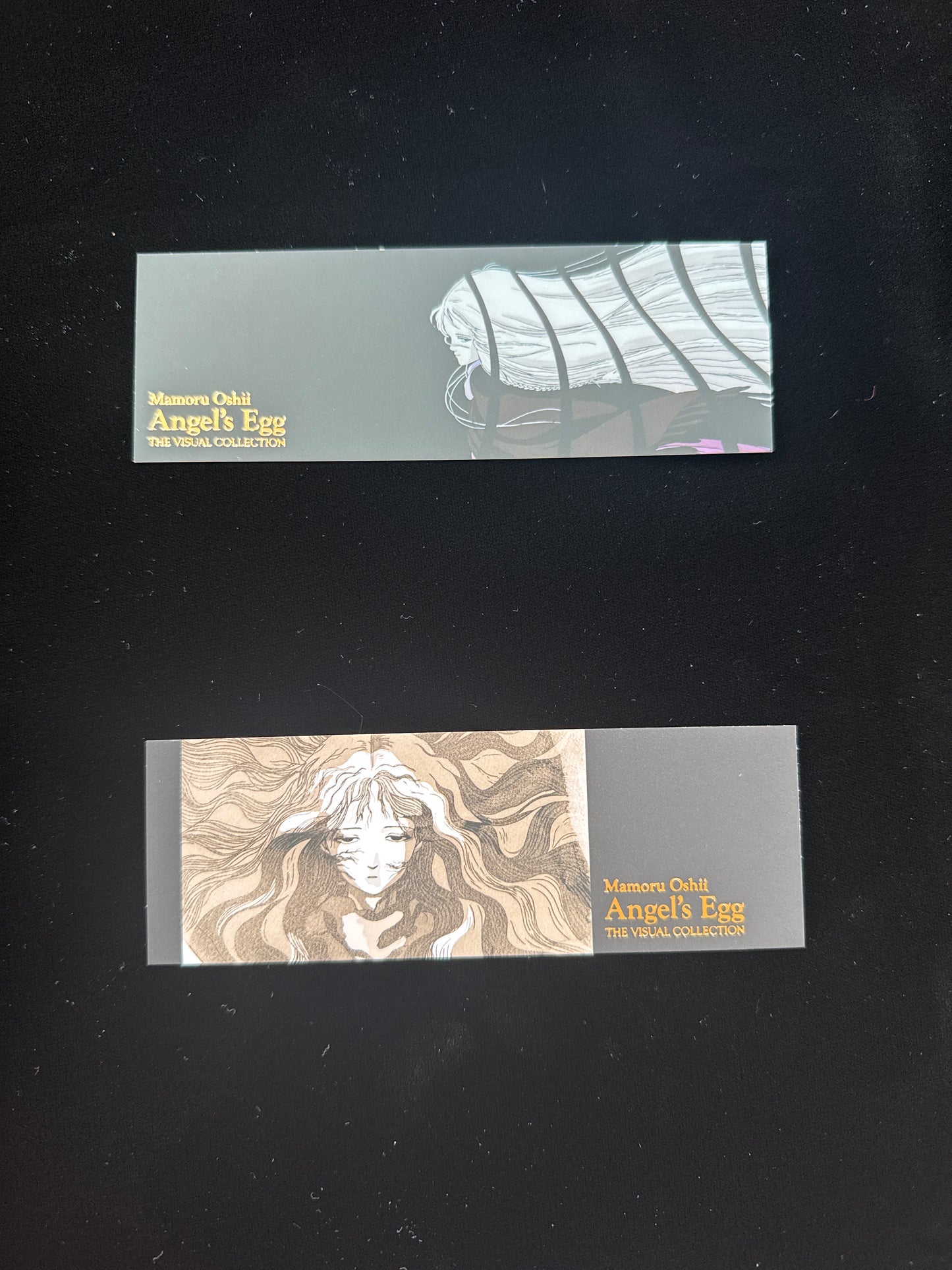 Angel's Egg THE VISUAL COLLECTION
