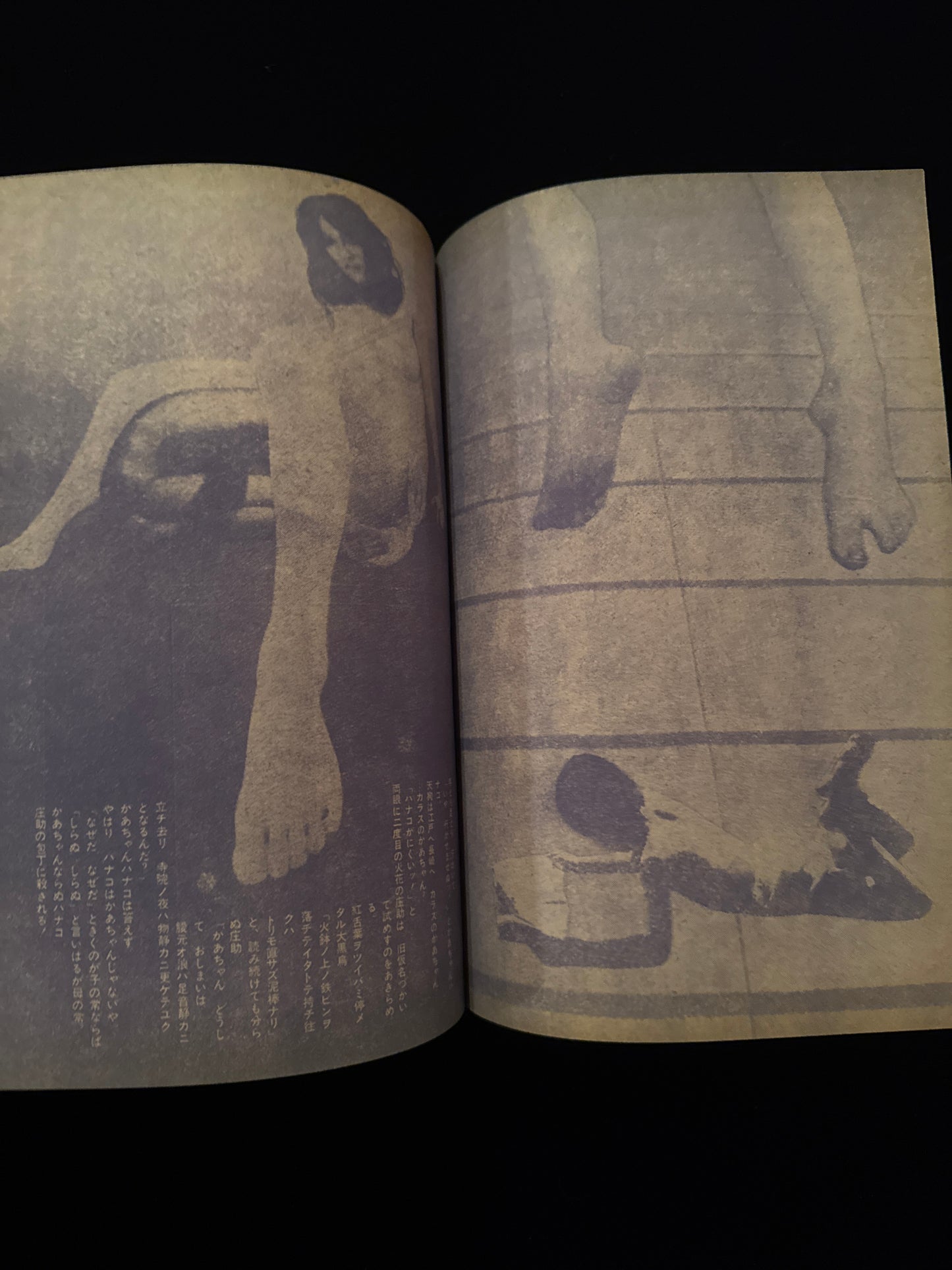 Sunday Mainichi : Gekiga & Manga
