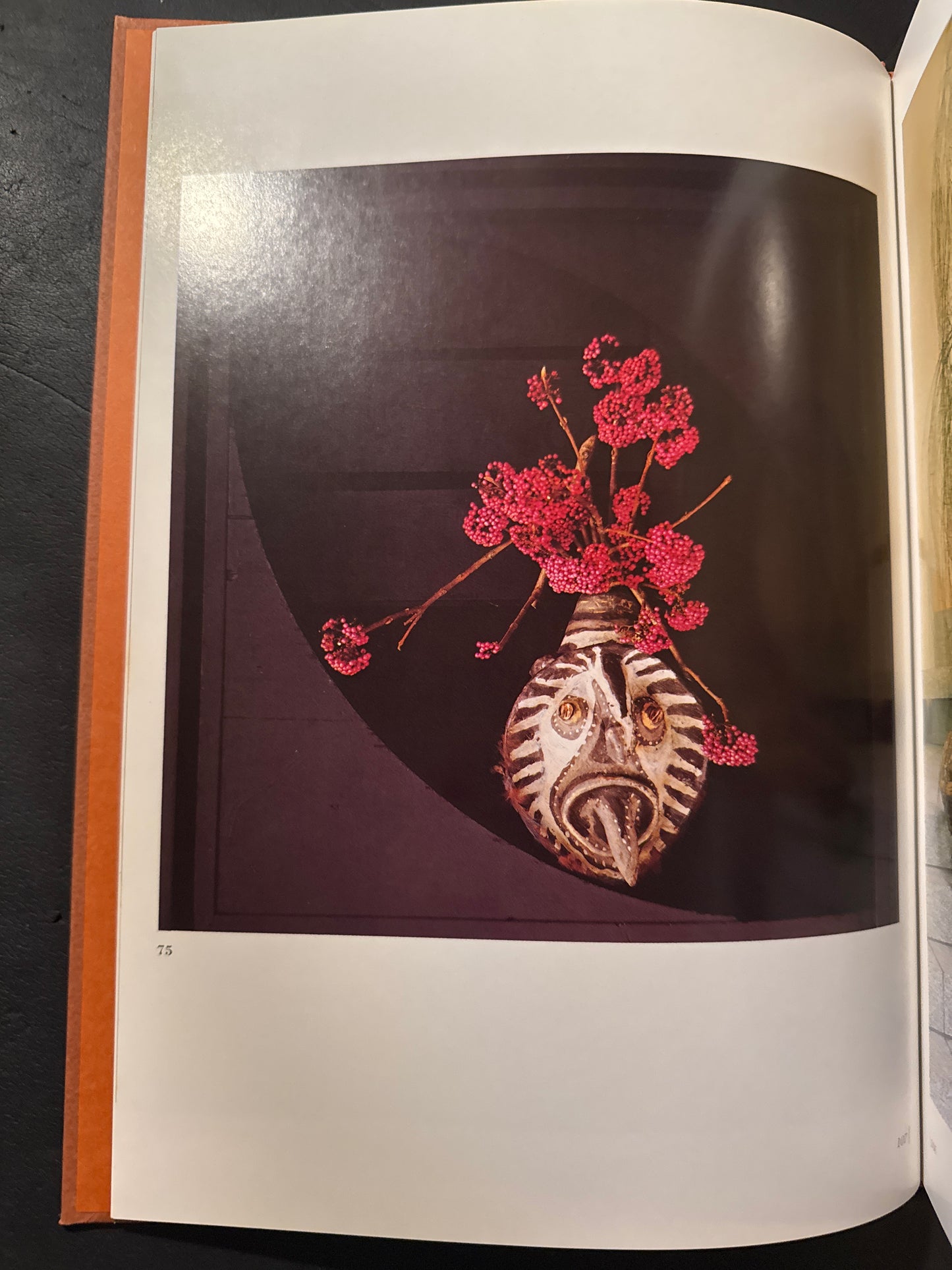 Sofu Teshigawara Ikebana 5 vol. complete set