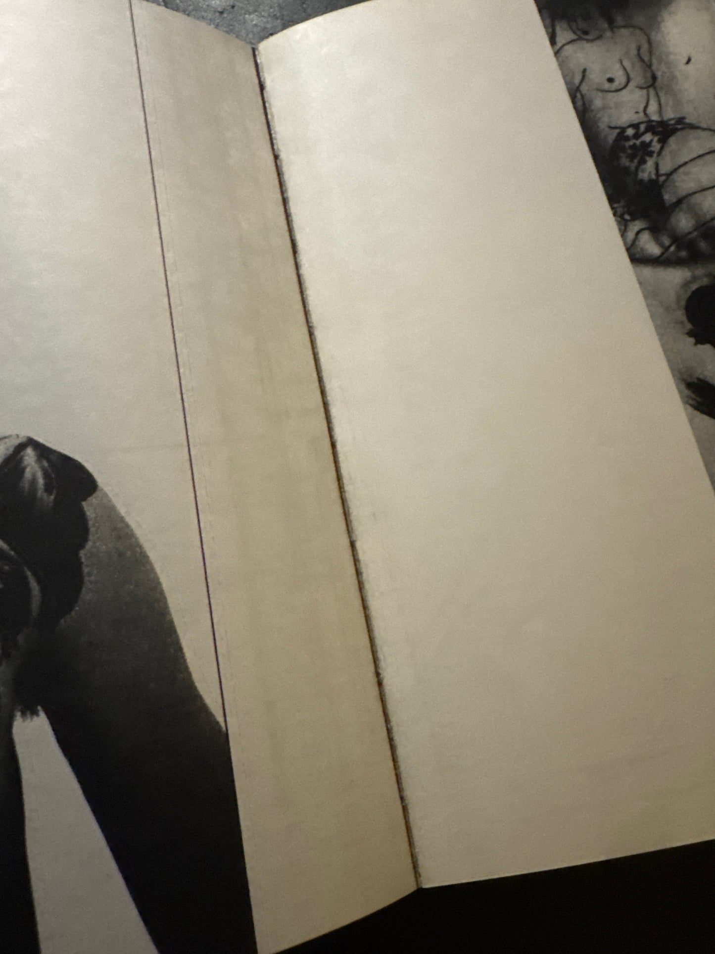 Nippon Theatre photobook