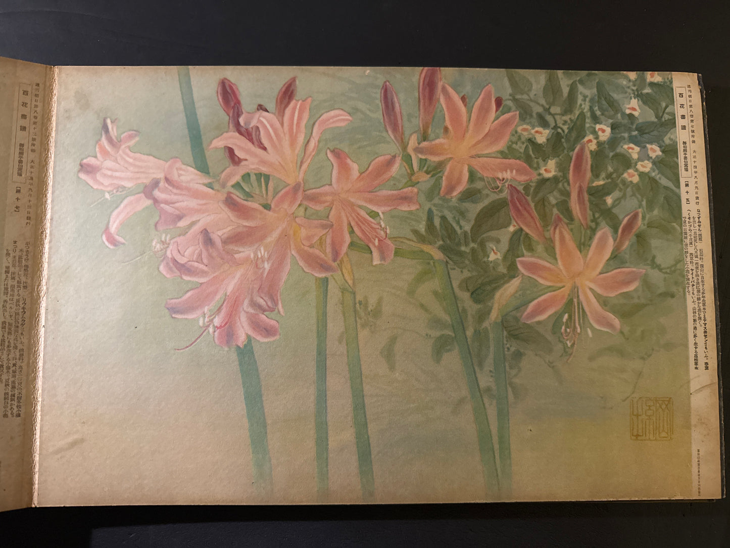 Hyakka: An Illustrated Collection of a Hundred Flowers