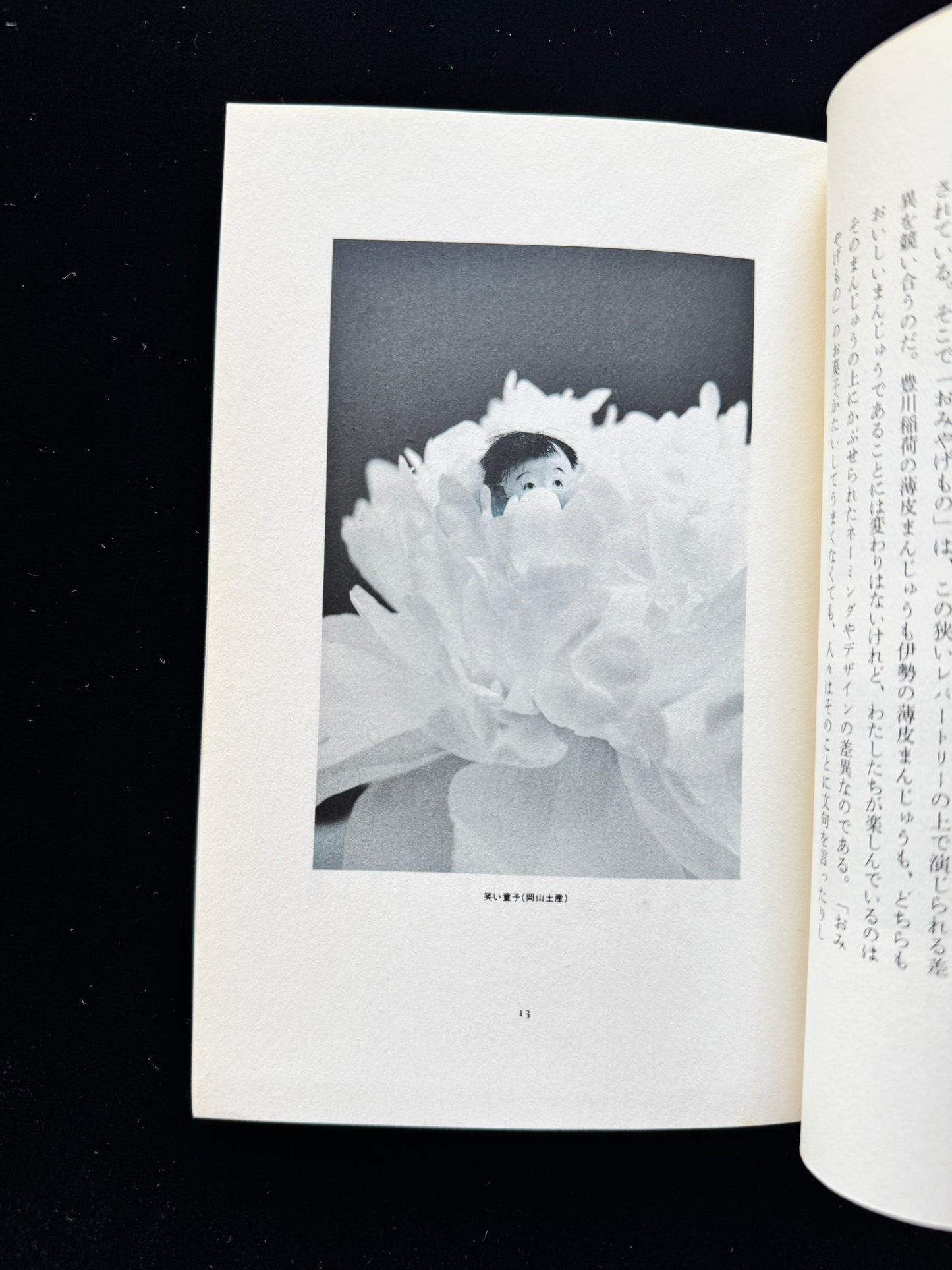 Hana ni Mizu (Water the flowers)  cassette book