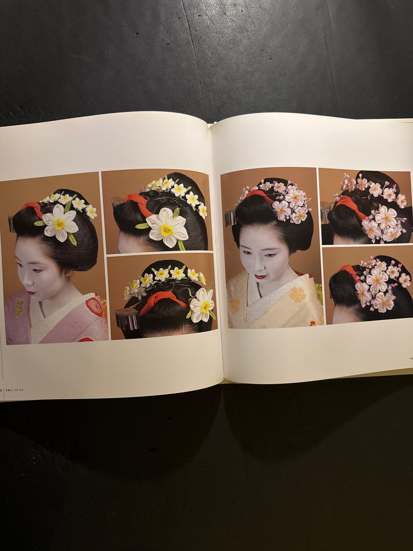The World of Traditional Japanese Hairstyles/Hairstyle of The Maiko