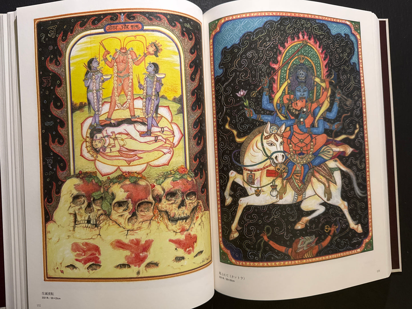The World of Shin Taga