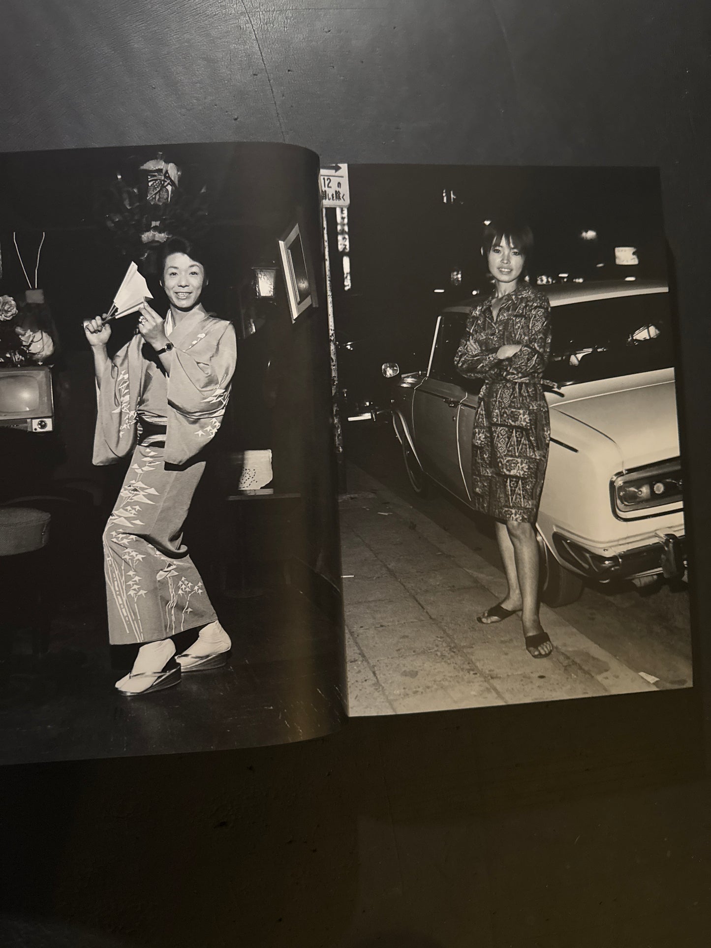 SHINJUKU GUNTODEN 1965-1973 (Limited 500copies)