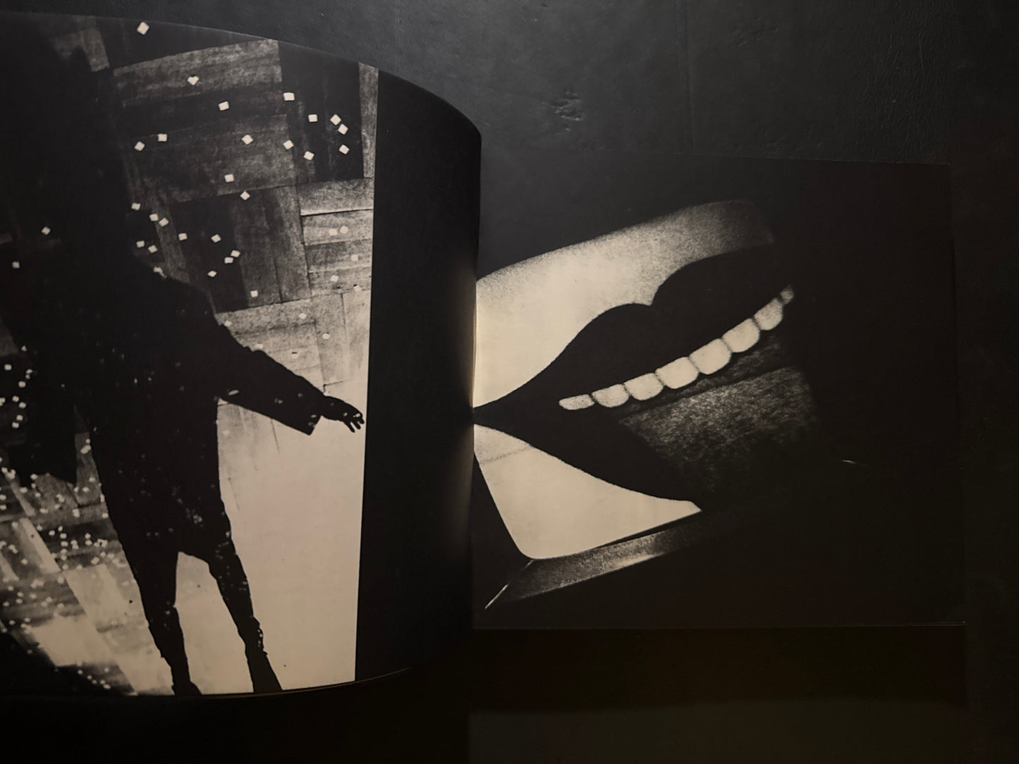 Nippon Theatre photobook