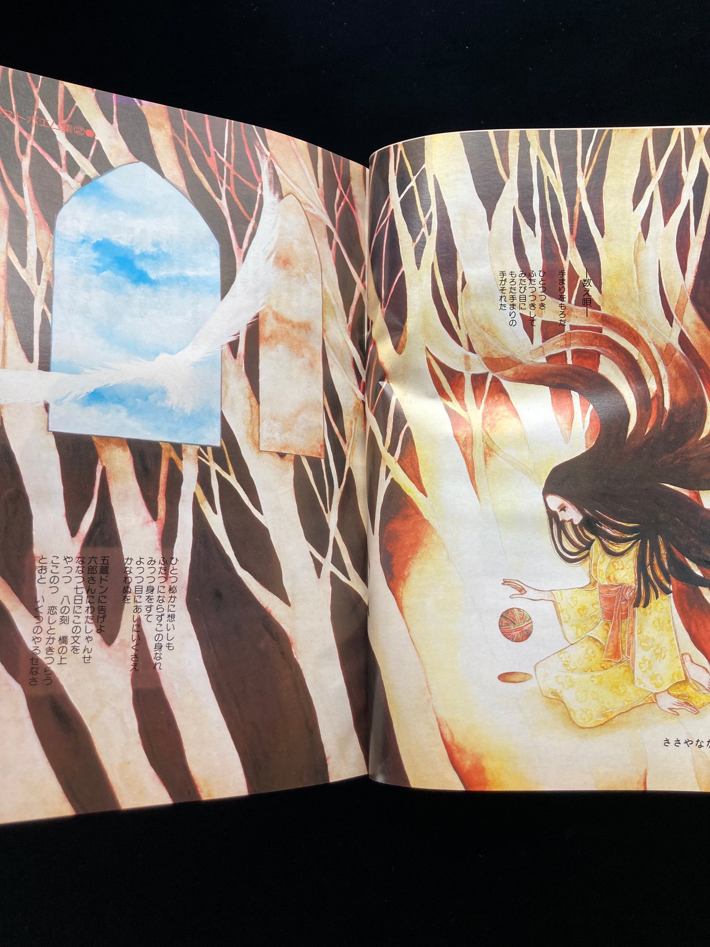 "Flower Deluxe" Keiko Takemiya illustration book