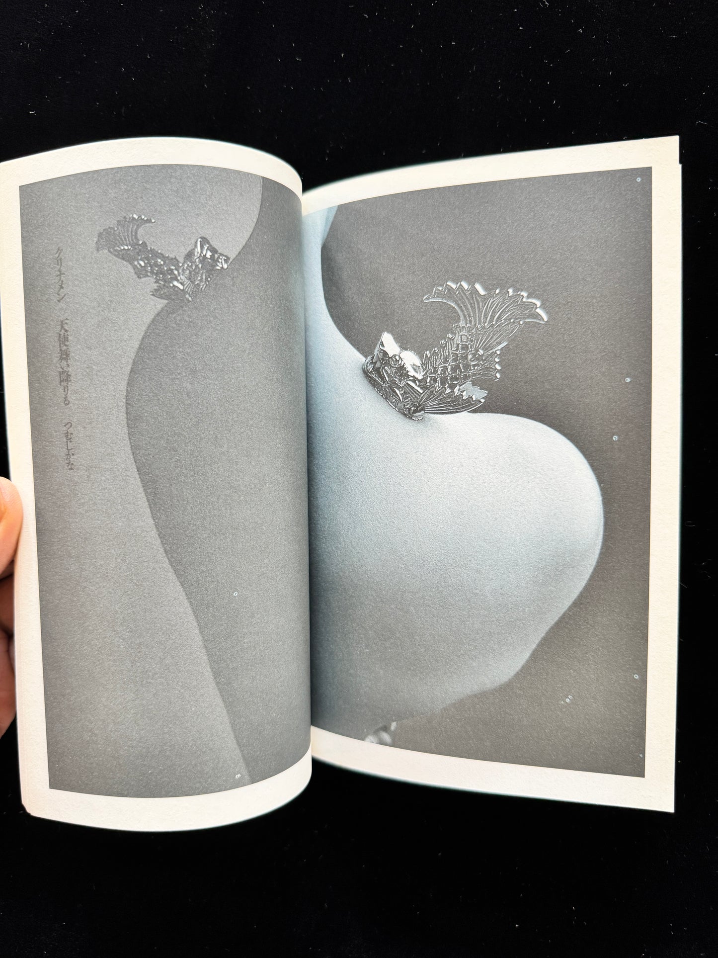 Hana ni Mizu (Water the flowers)  cassette book