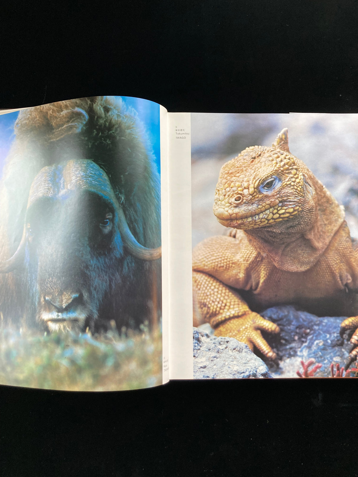 photography of the world '71 - '72