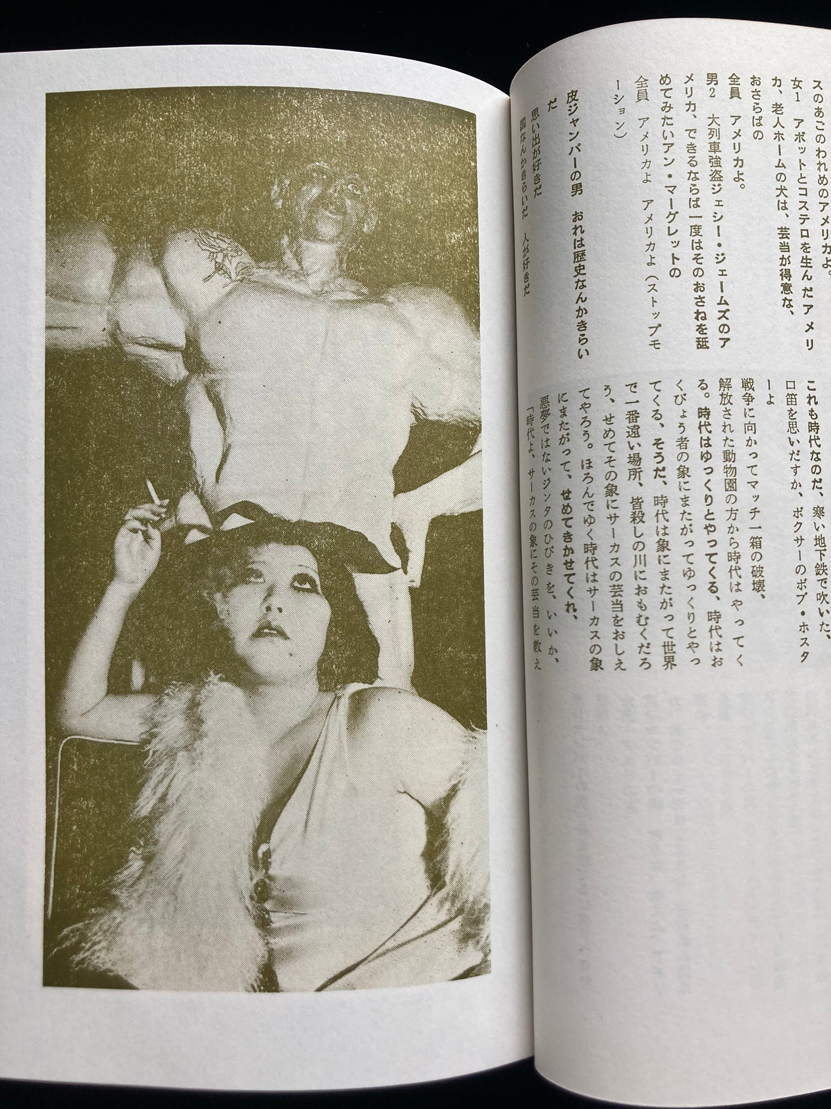 Collected Critical Essays by Shuji Terayama
A Tour of Hell in America