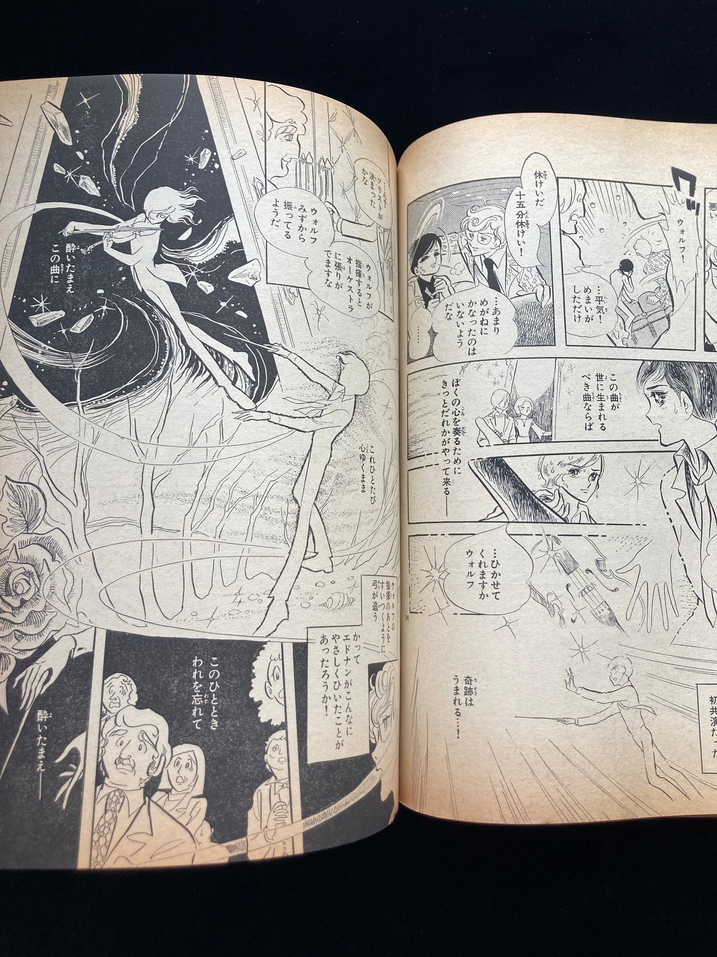 "Flower Deluxe" Keiko Takemiya illustration book