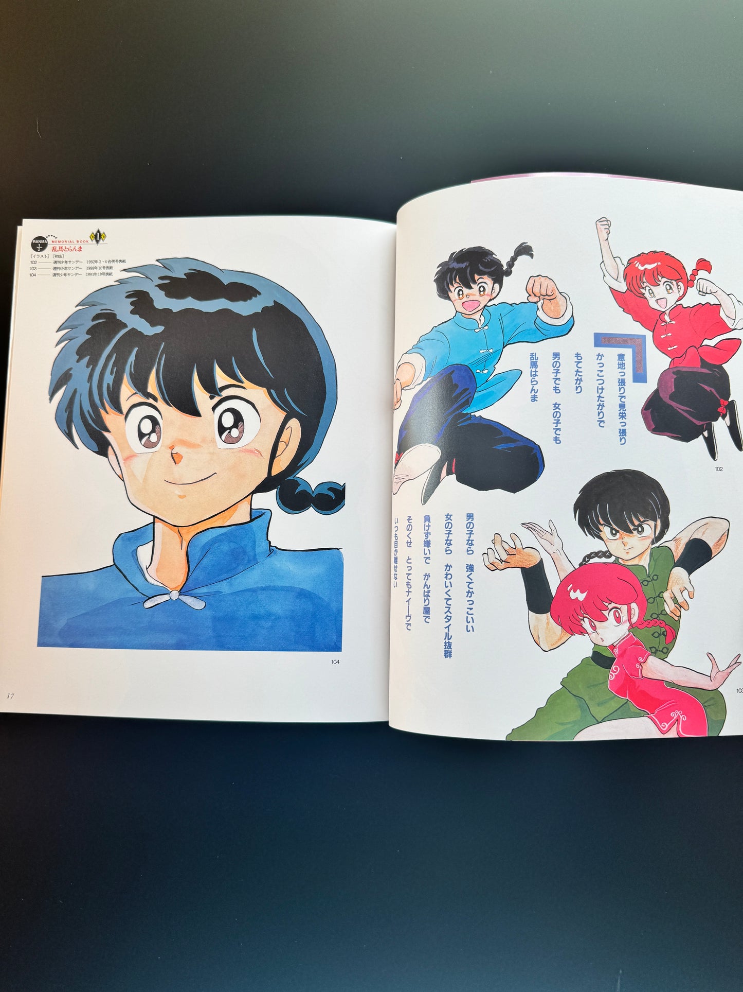 RANMA 1/2 MEMORIAL BOOK