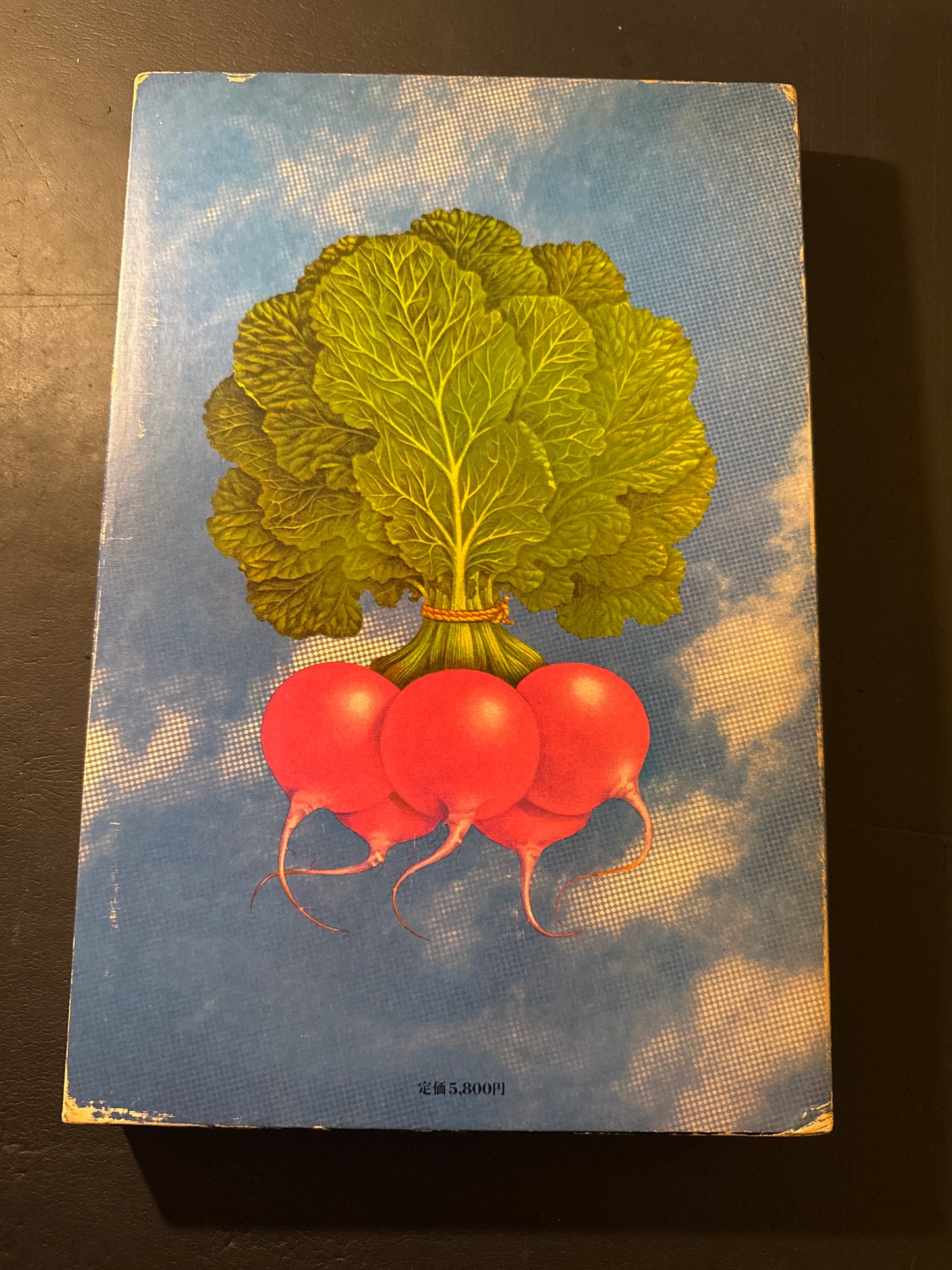 Tadashi Ohashi's Natural History