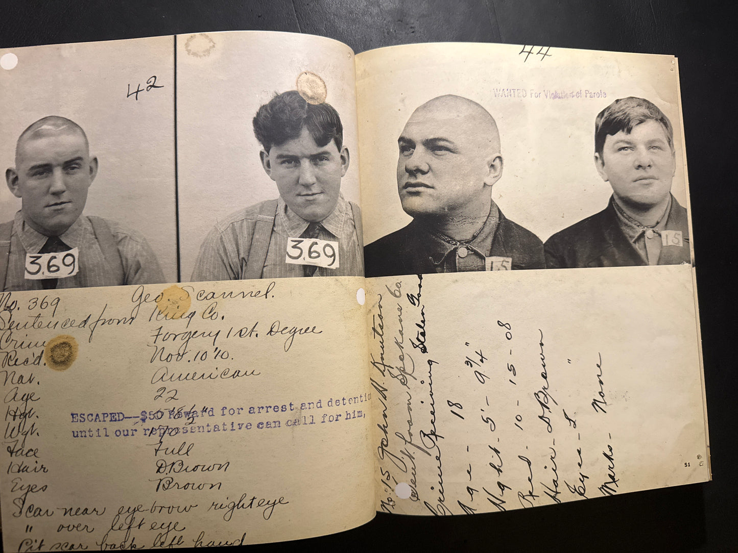 LEAST WANTED : A Century of American Mugshots