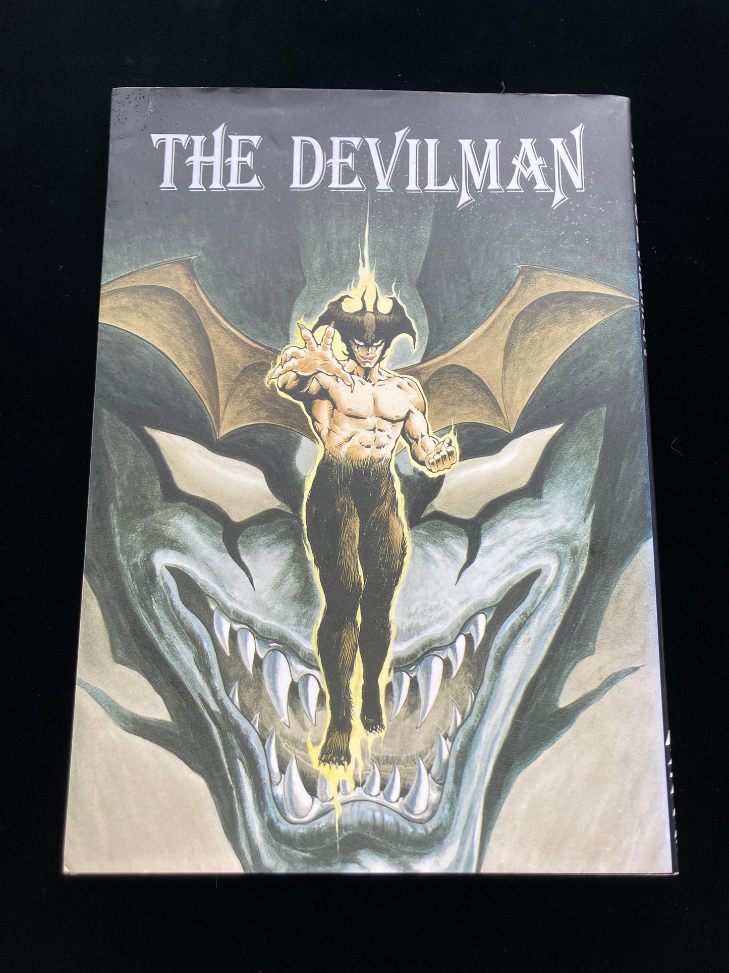 THE DEVIMAN