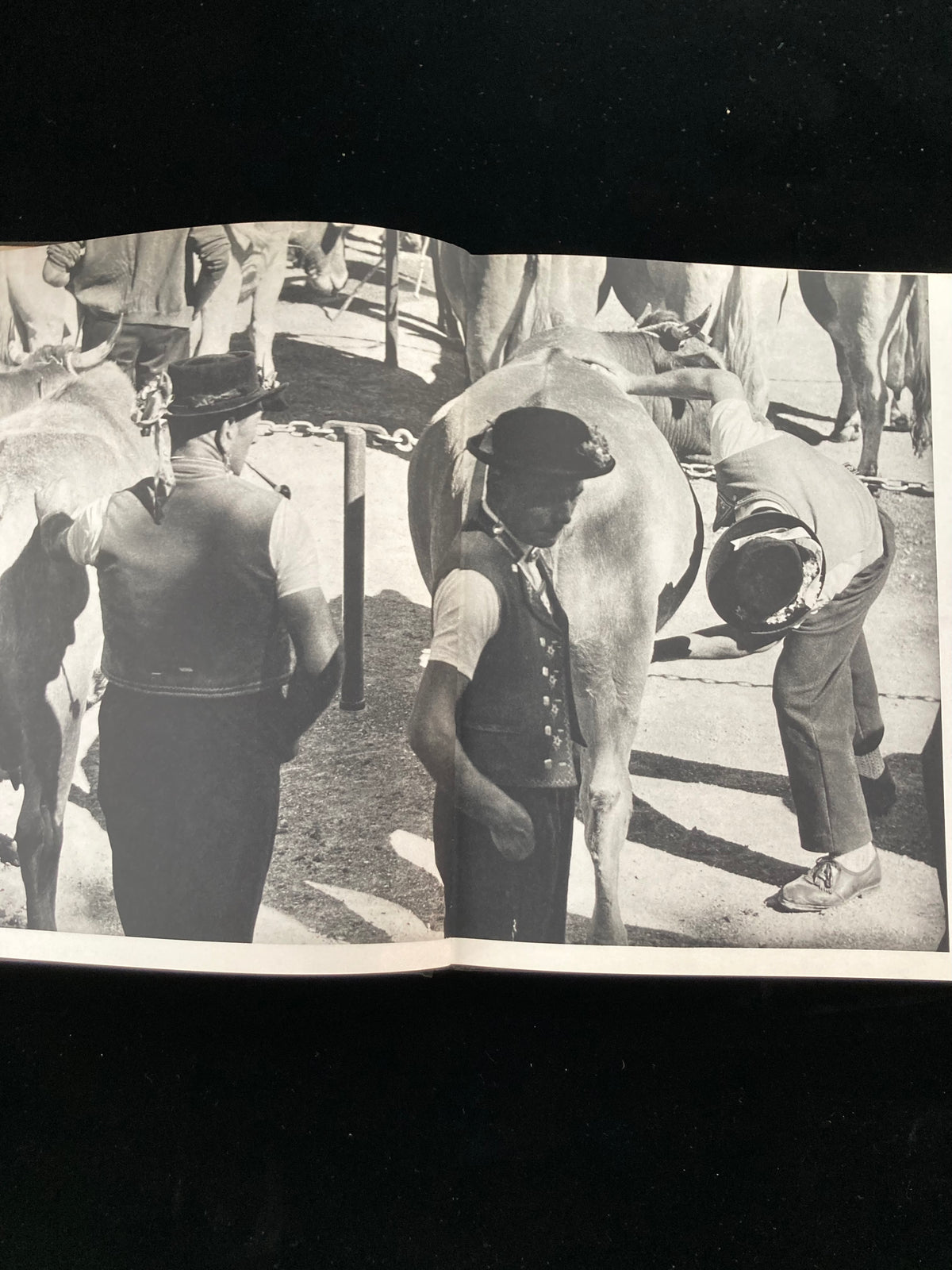 photography of the world '68