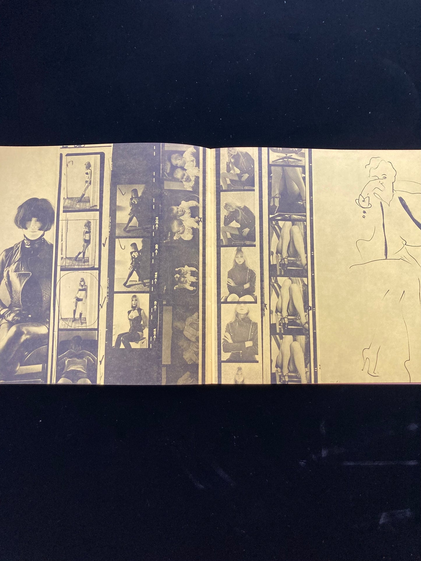ALLEN JONES catalogue