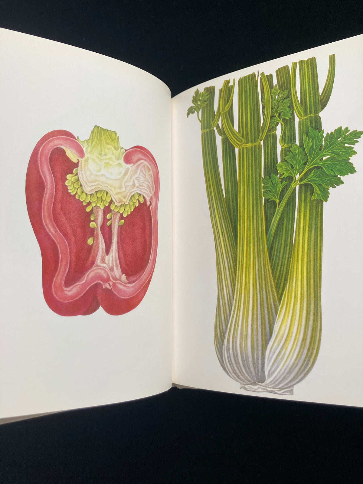 Tadashi Ohara(World Graphic Design 28)