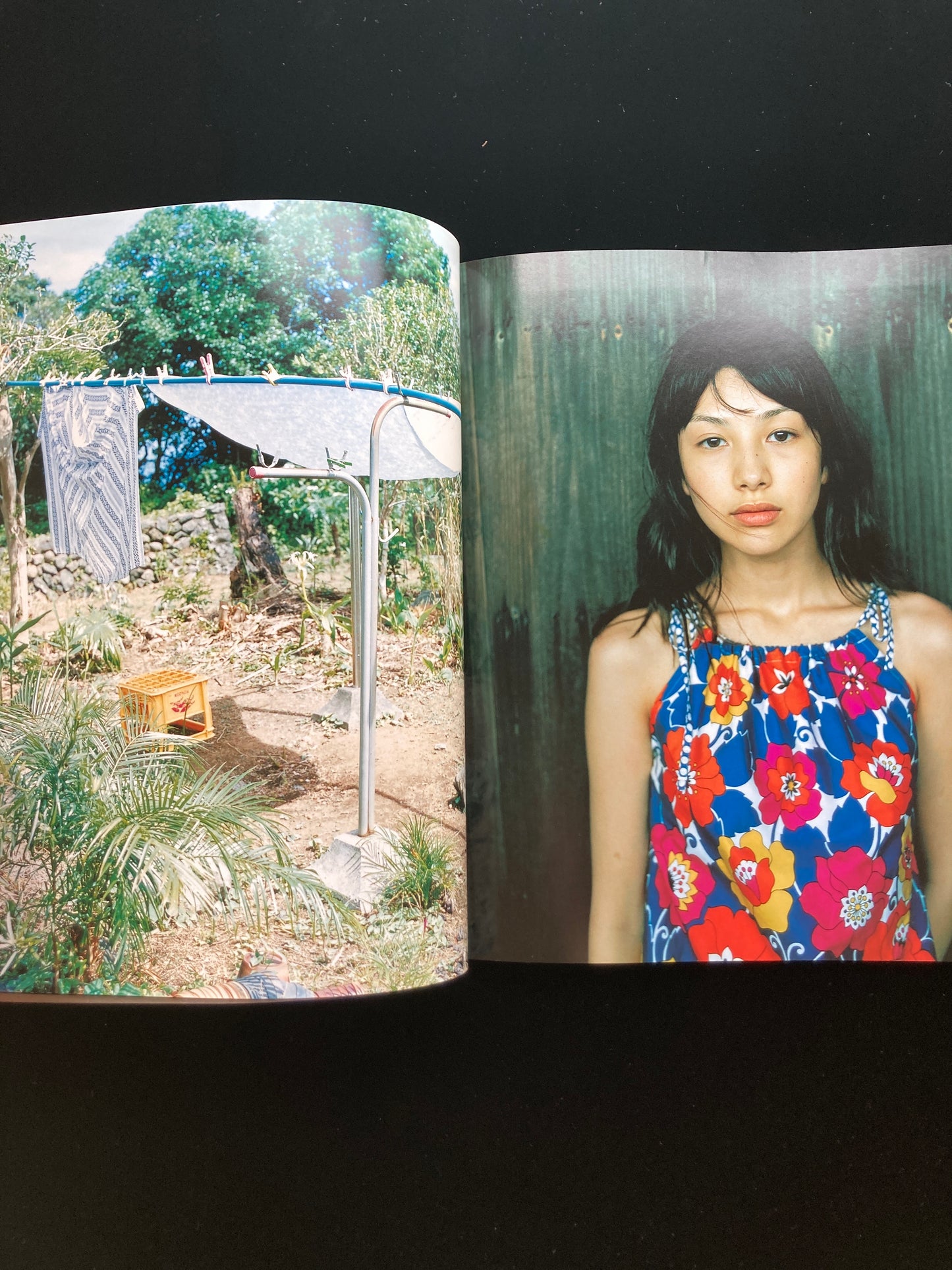 The sun and honey MARIKO TAKAHASHI