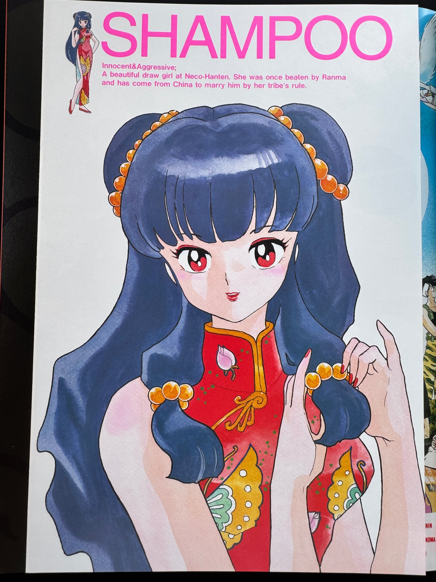 RANMA 1/2 MEMORIAL BOOK