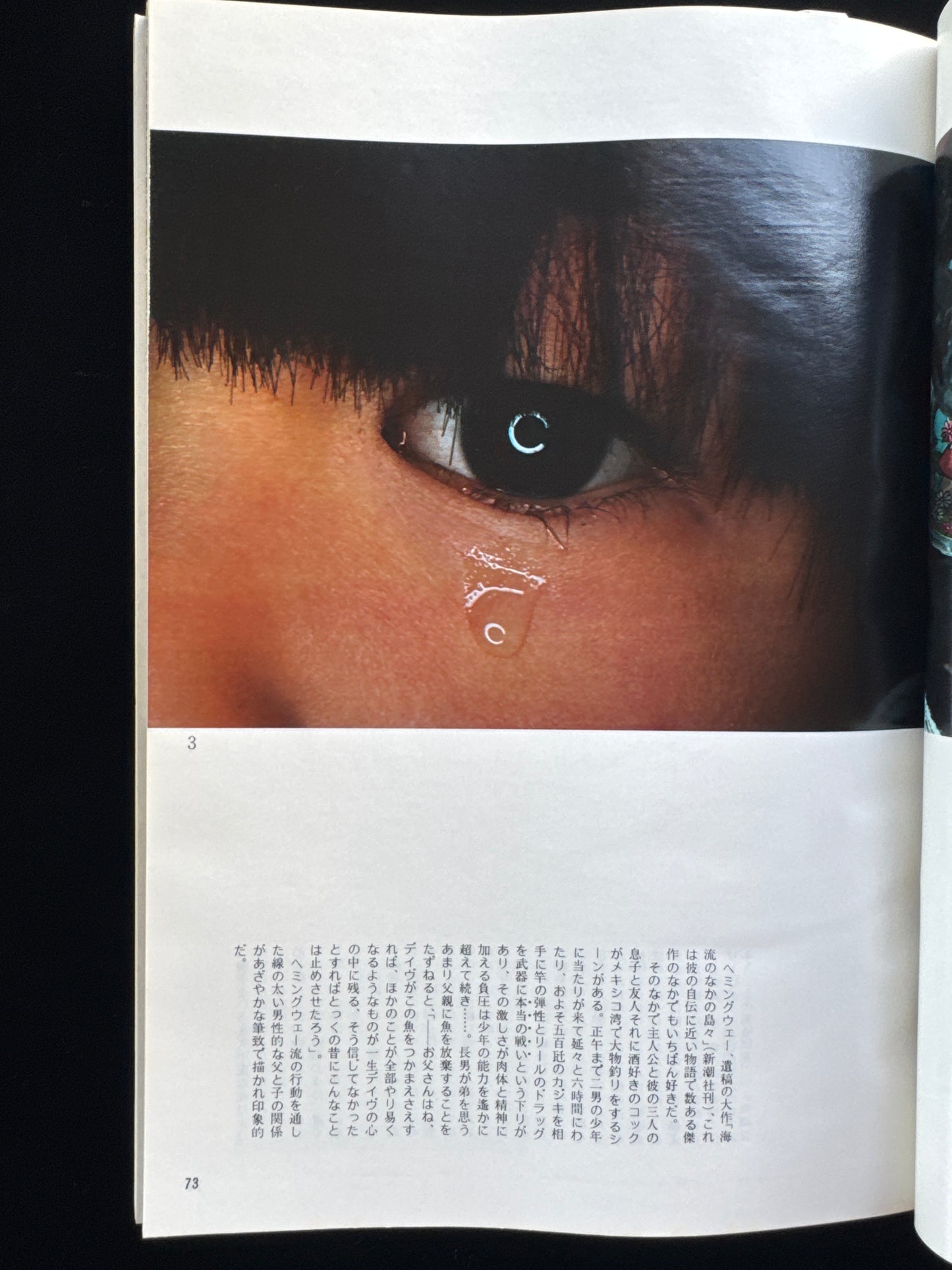 CAMERA MAINICHI 1975 Complete set