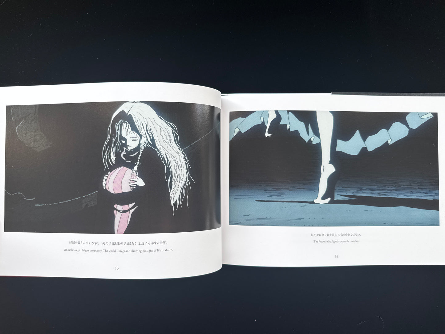 Angel's Egg THE VISUAL COLLECTION