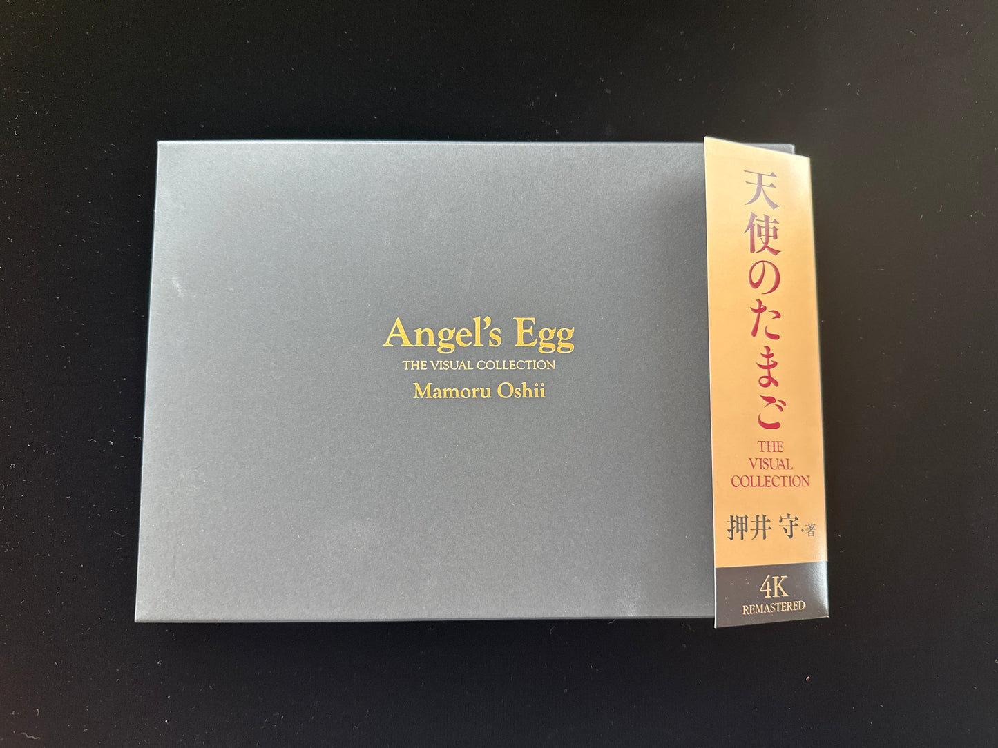 Angel's Egg THE VISUAL COLLECTION