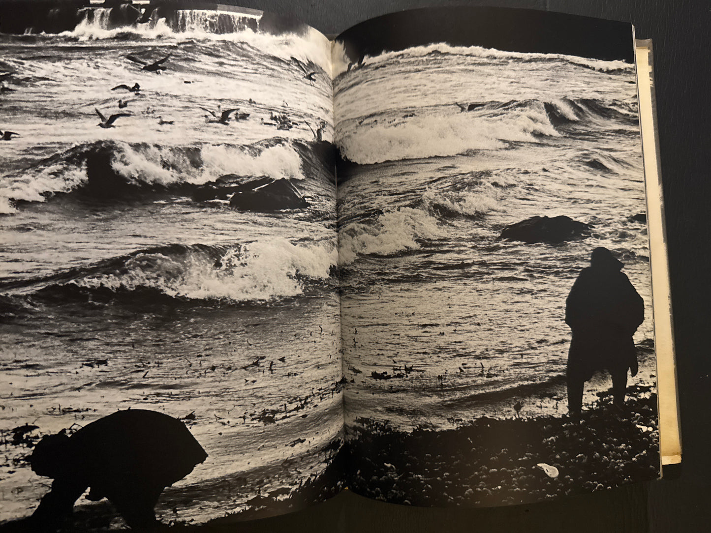 Selected Works of NANIWA SHASHIN CLUB 60th anniversary 1966