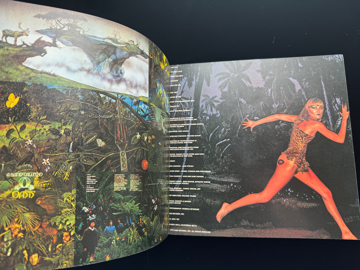 Genesis: A Collection of Record Covers