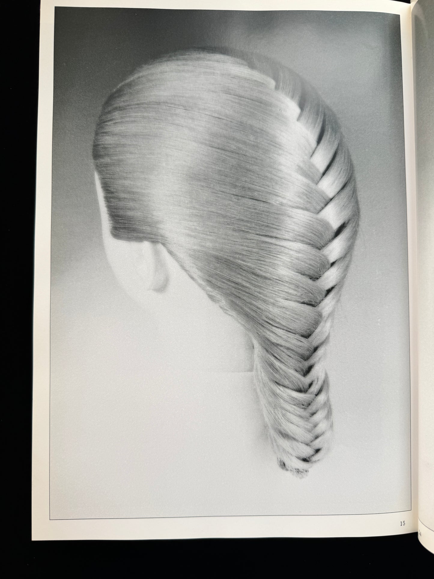 Braided hairstyle