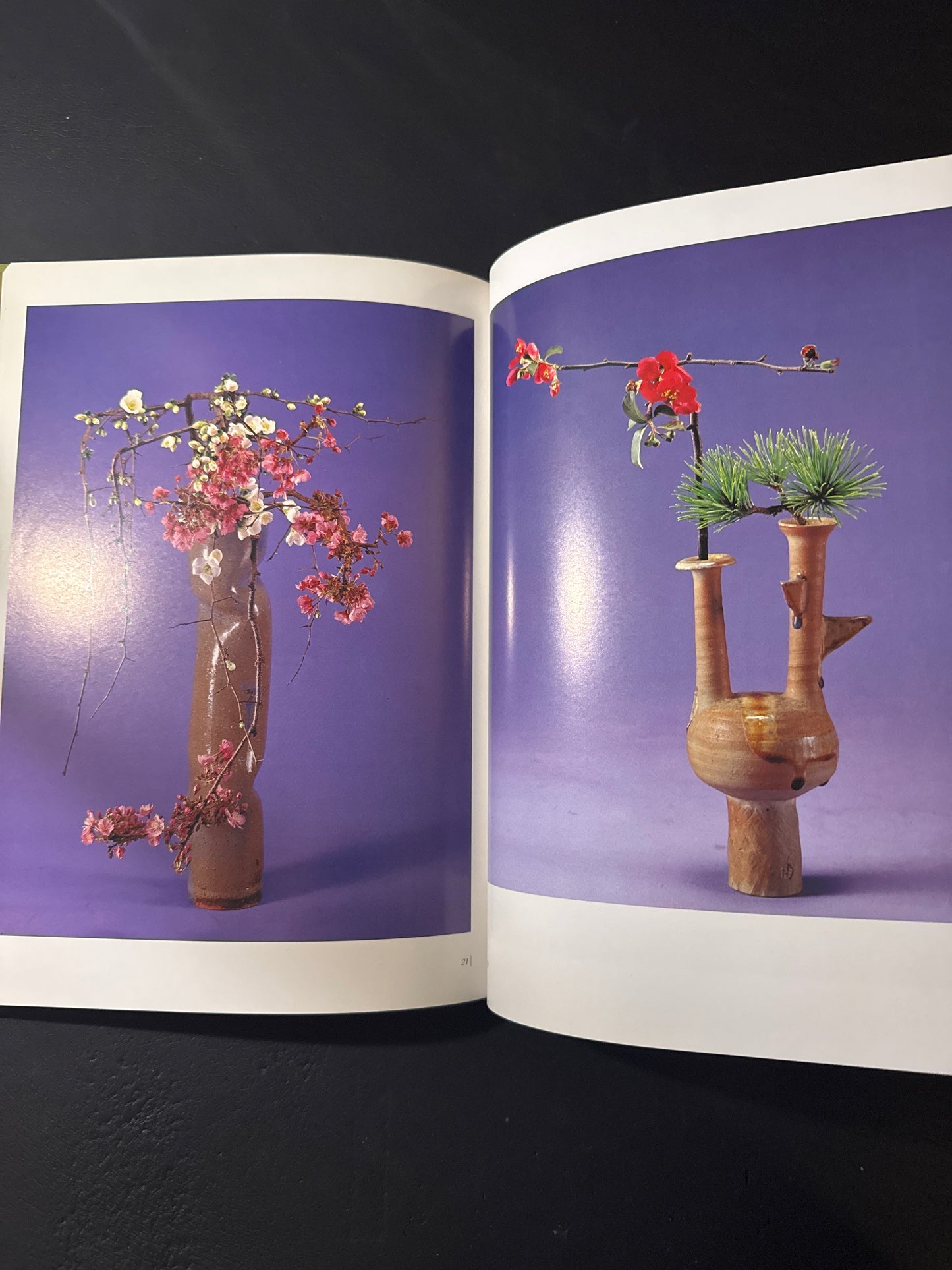Sofu Teshigawara Ikebana 5 vol. complete set